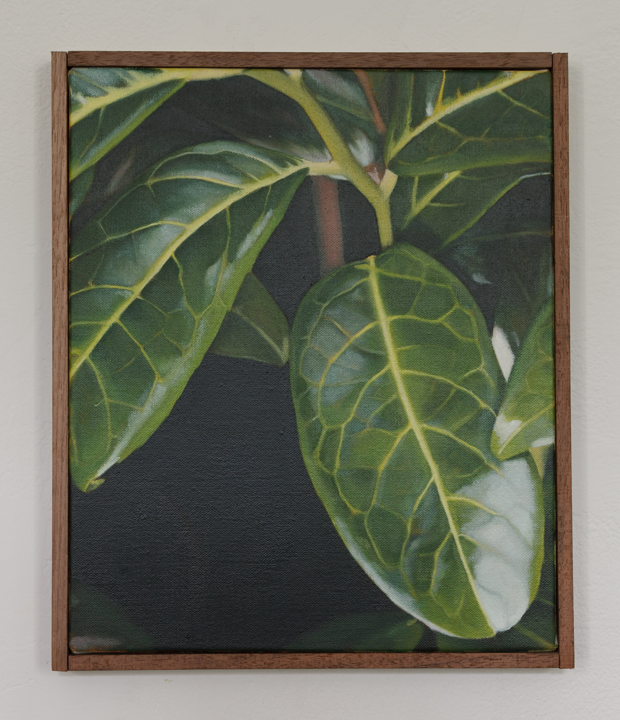  Stem | 2018 | oil on linen | Mahogany frame | 31 x 26 cm | 12.2 x 10.2 in  | Private Collection | Photo by Lee Welch 