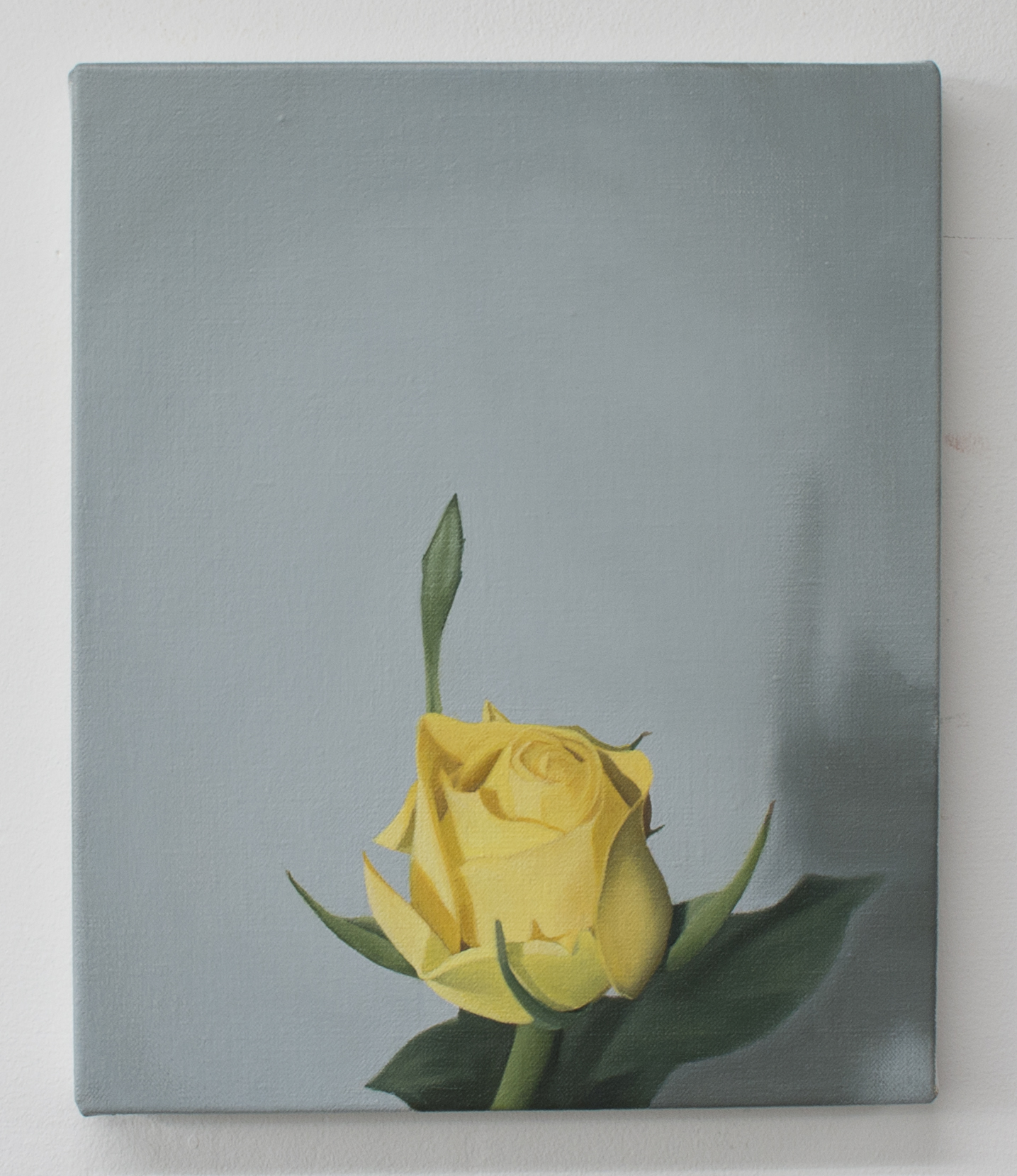  Yellow rose | 2018 | Oil on linen | 30 x 25 cm | OPW Collection IRE 