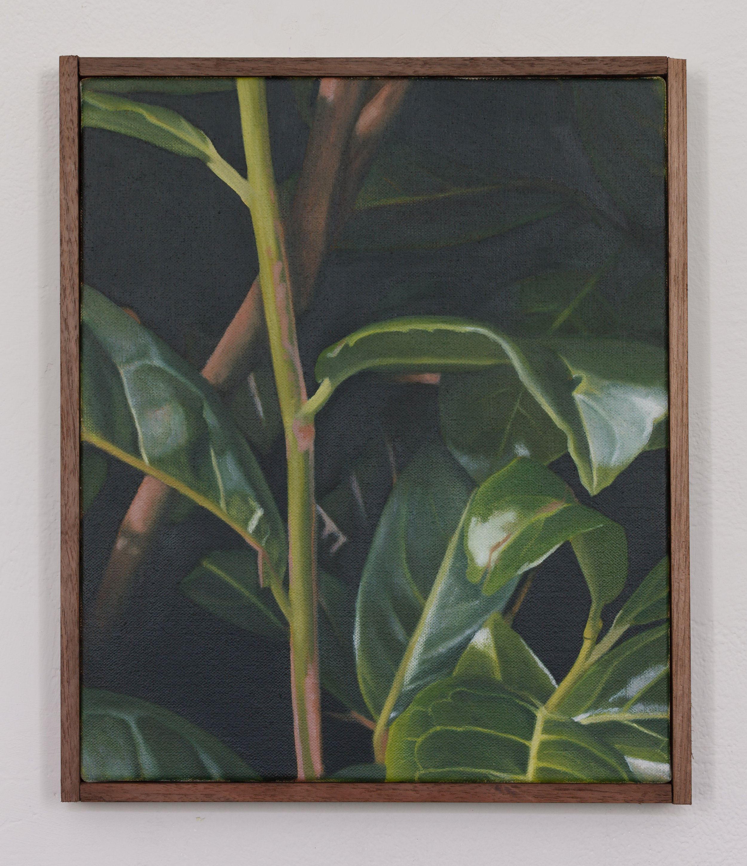  Laurel | 2018 | oil on linen | Mahogany frame | 31 x 26 cm | 12.2 x 10.2 in | Private Collection | Photo by Lee Welch 
