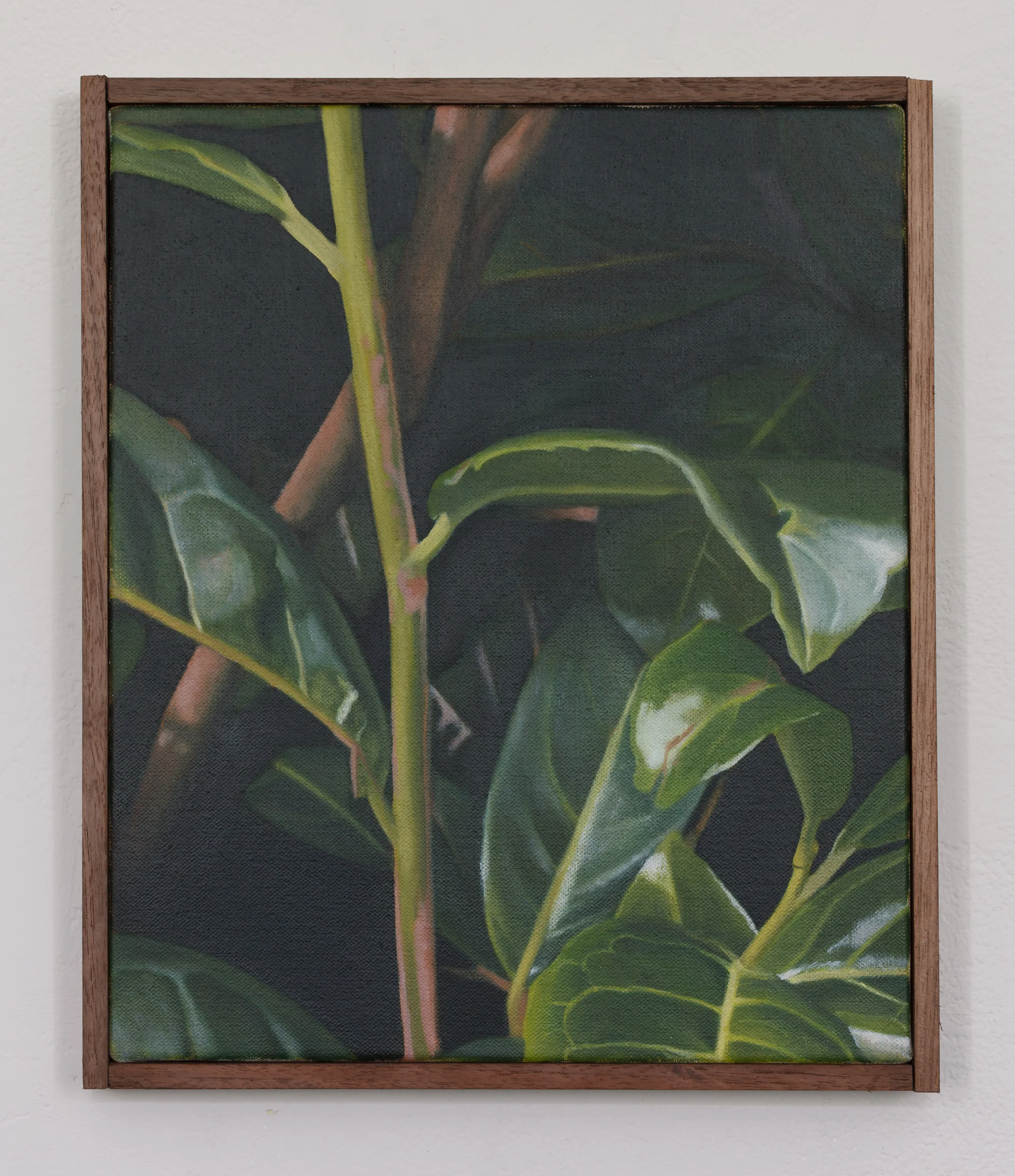 Laurel | 2018 | oil on linen | Mahogany frame | 31 x 26 cm | 12.2 x 10.2 in
