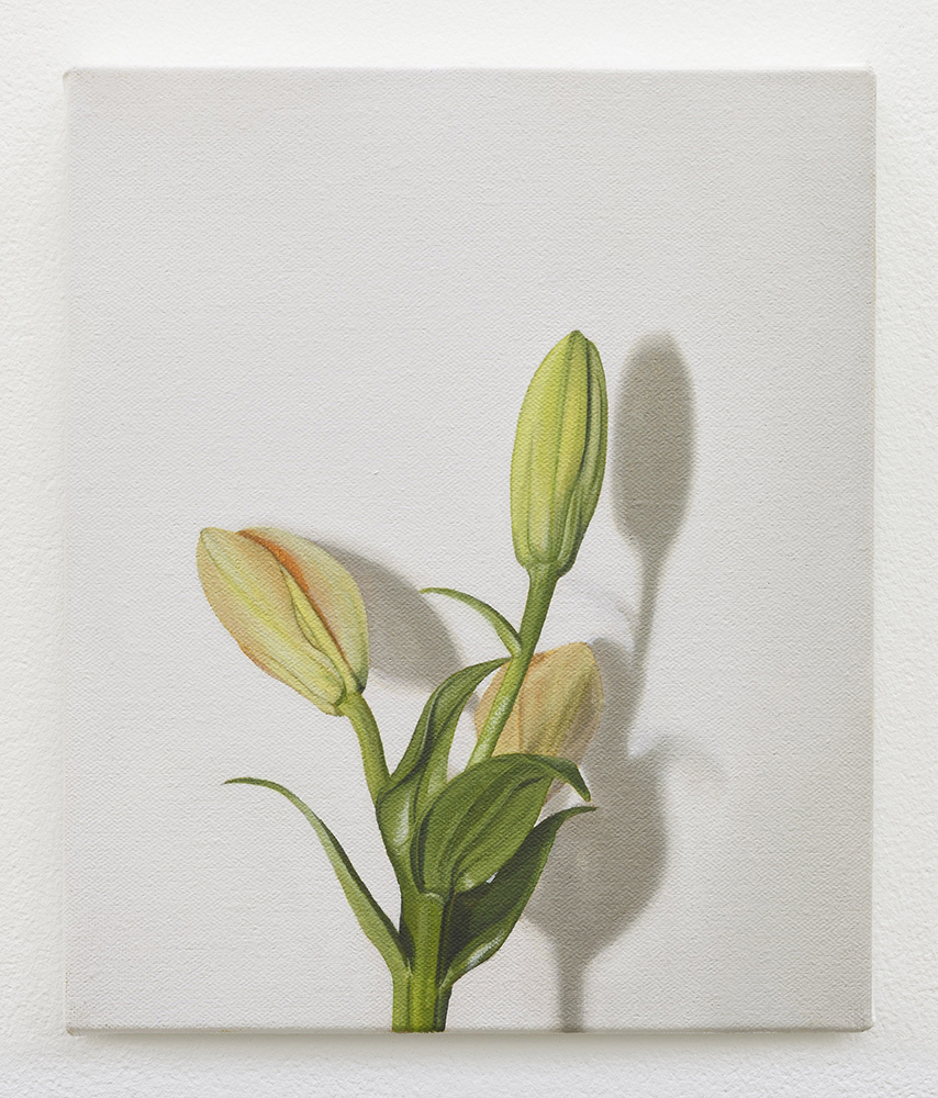  Lily | oil on linen | 30 x 25cm | Private Collection | Photo by Lee Welch 