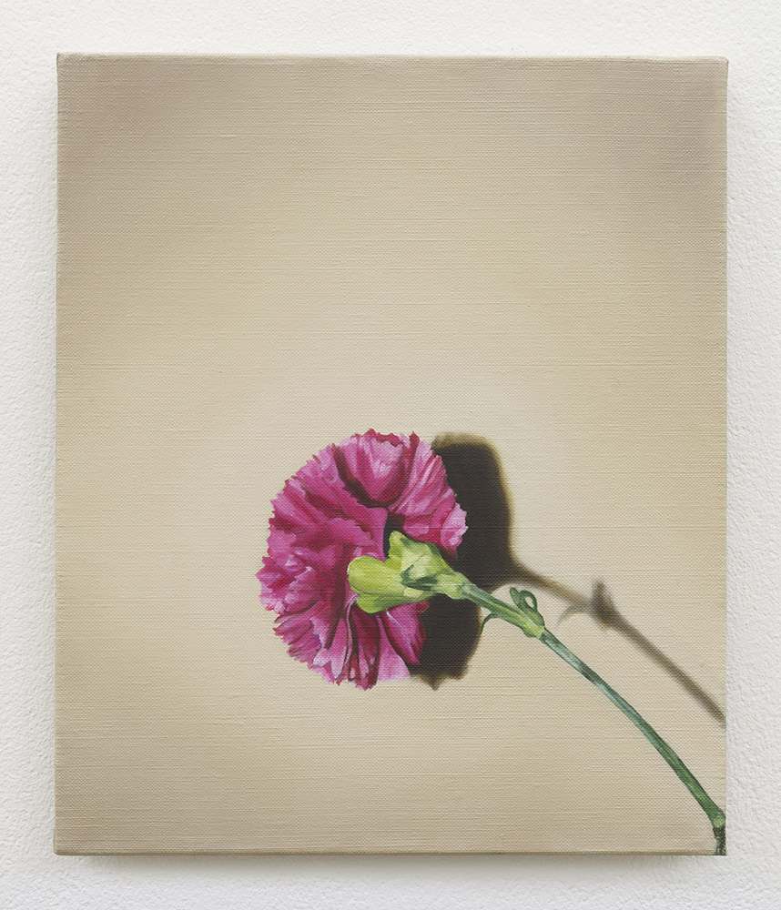  Carnation | oil on linen | 30 x 25cm | Private Collection | Photo by Lee Welch 