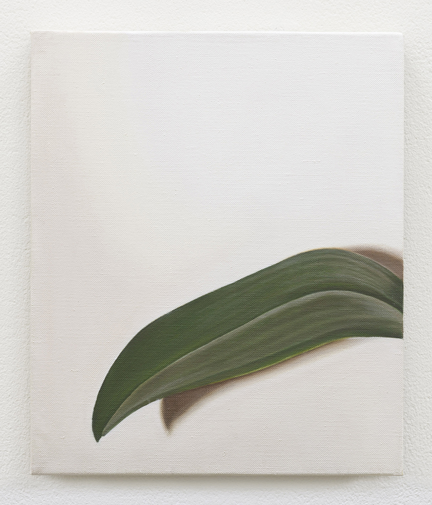  Leaf | 2017 | Oil on Linen | 30 x 25 cm | Available | Photo by Lee Welch     