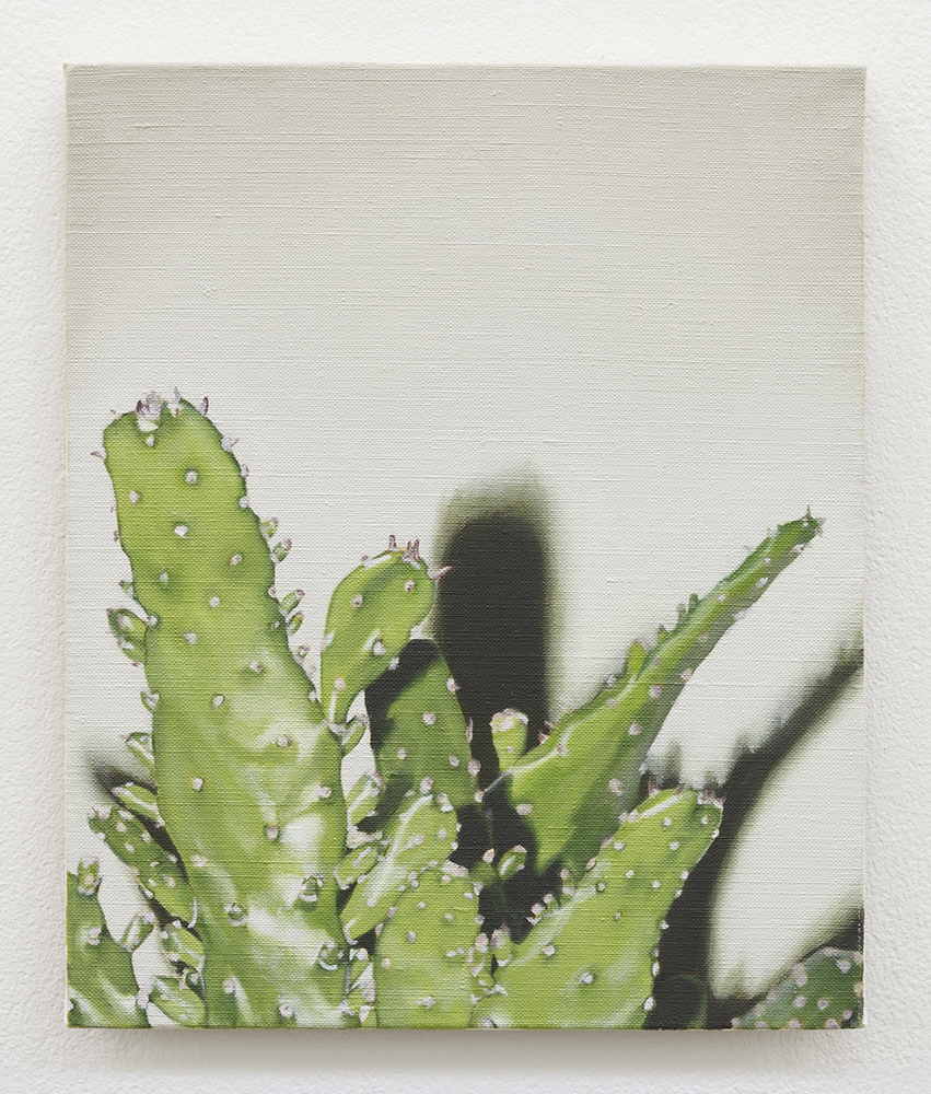  Cactus | 2017 | Oil on linen | 30 x 25 cm | Available | Photo by Lee Welch 