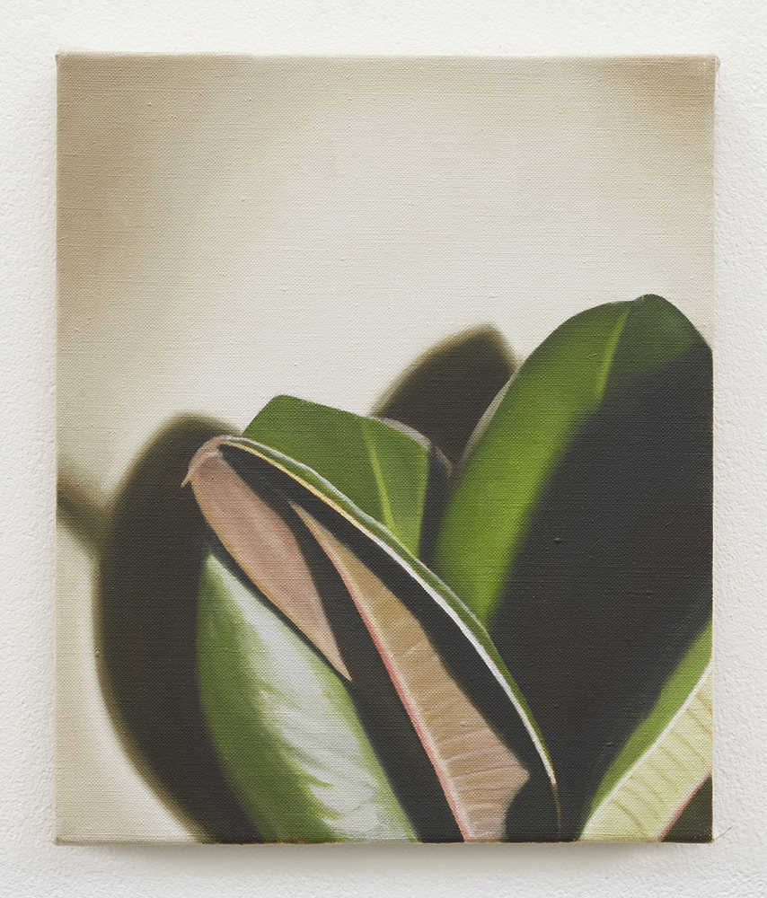 Rubber plant I | oil on linen | 30 x 25cm | Private Collection | Photo by Lee Welch 
