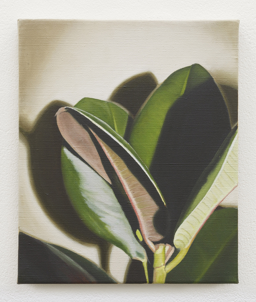  Rubber plant II | oil on linen | 30 x 25cm | Private Collection | Photo by Lee Welch 