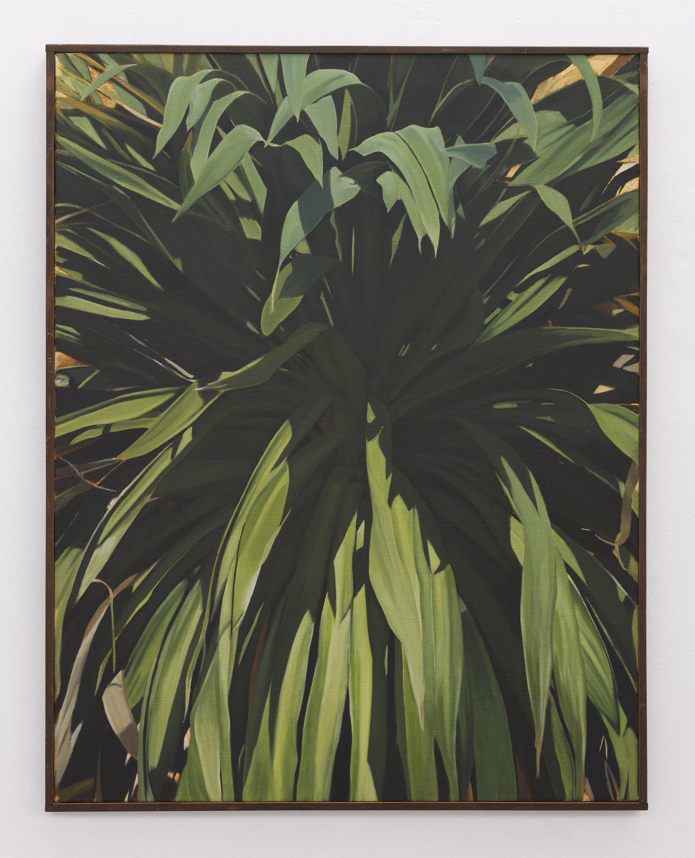  Cordyline | 2018 | oil on linen | 90 x 70 cm | Photo by Lee Welch 