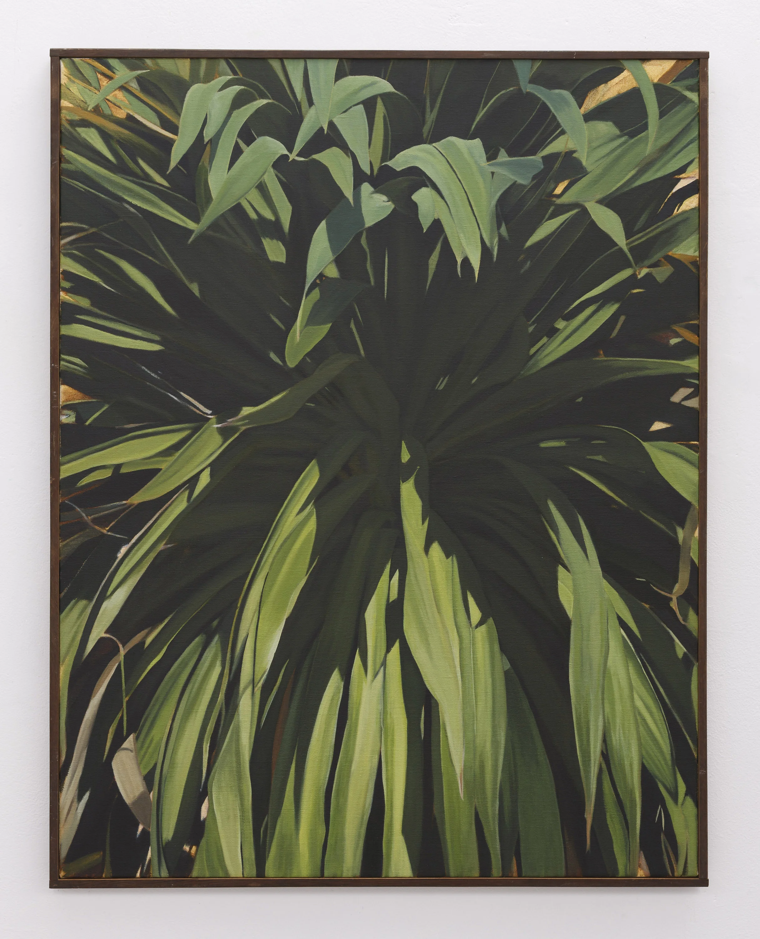 Cordyline | 2018 | oil on linen | 90 x 70 cm | Available