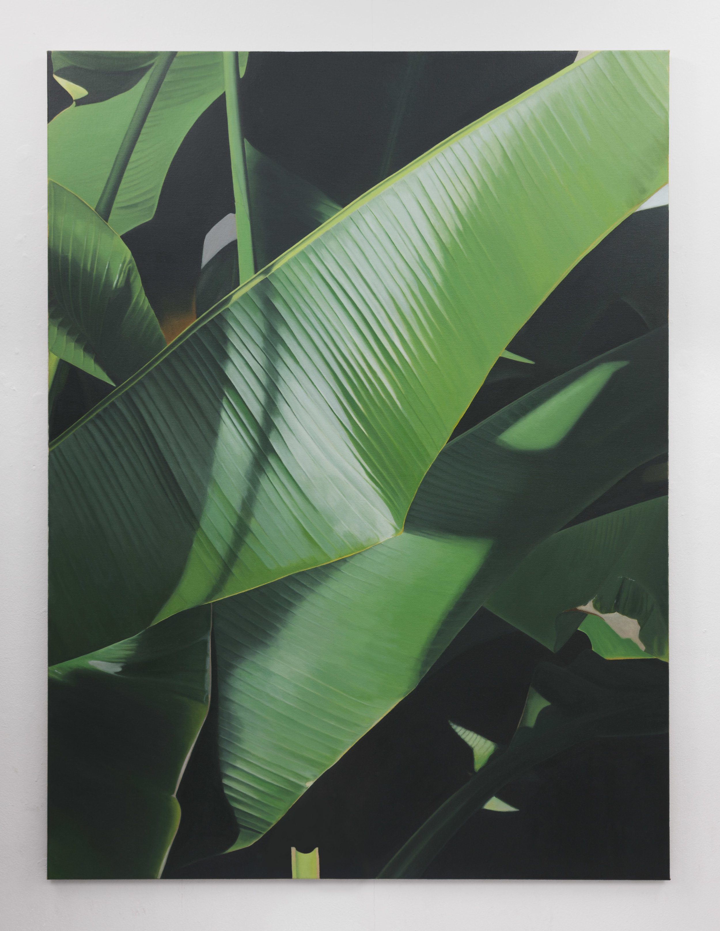  Banana I | 2019 | Oil on linen | 160 x 120 cm | Photo by Lee Welch | Shortlisted The RHA Hennessy Craig Award 