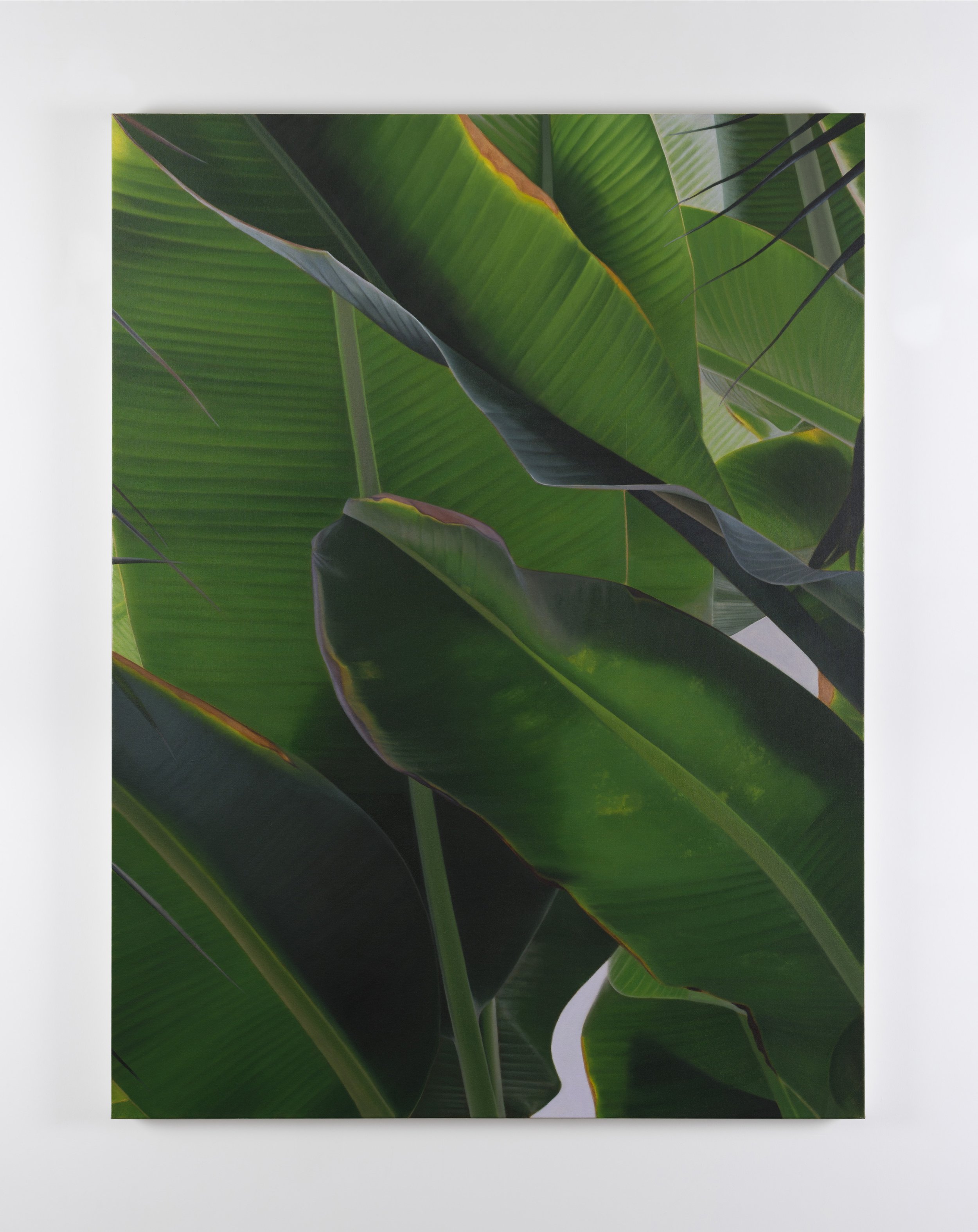 Banana VI, 2021 oil on linen 160 x 120 cm / 63 x 47.2 in 