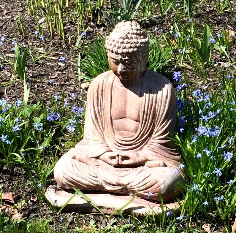 What I Love About Meditation