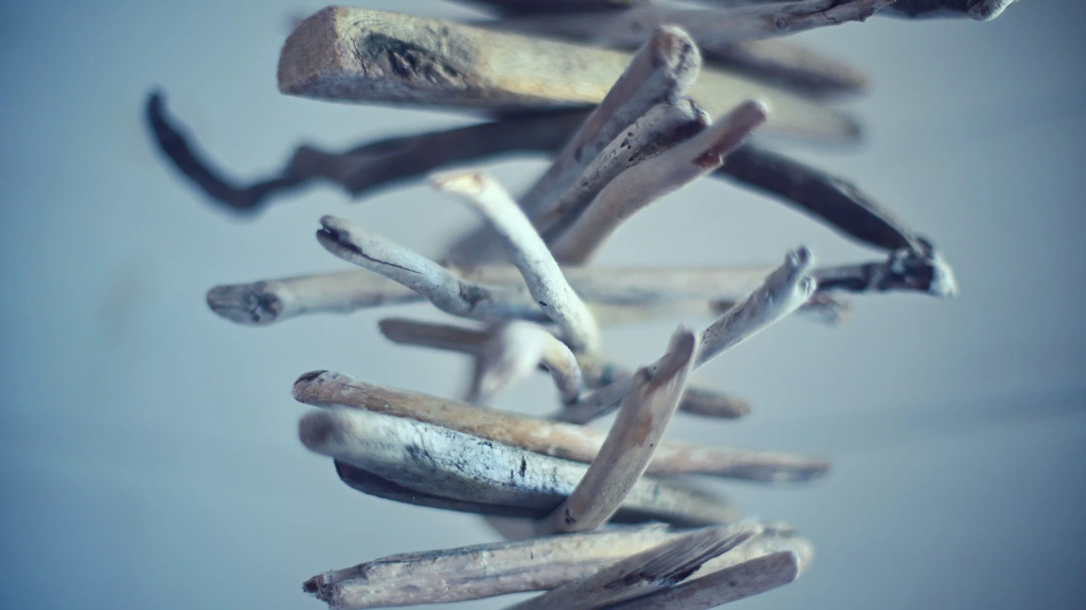 Mobile that we made with driftwood that we found. I love all of the focus stuff happening here.