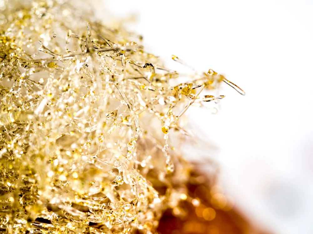 Food&Drink_Sugar-1.jpg