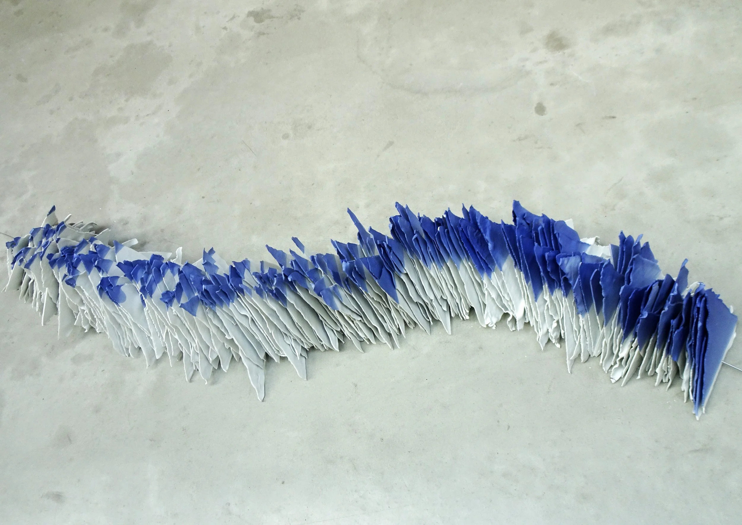 2020 slang van driehoeken83.jpg