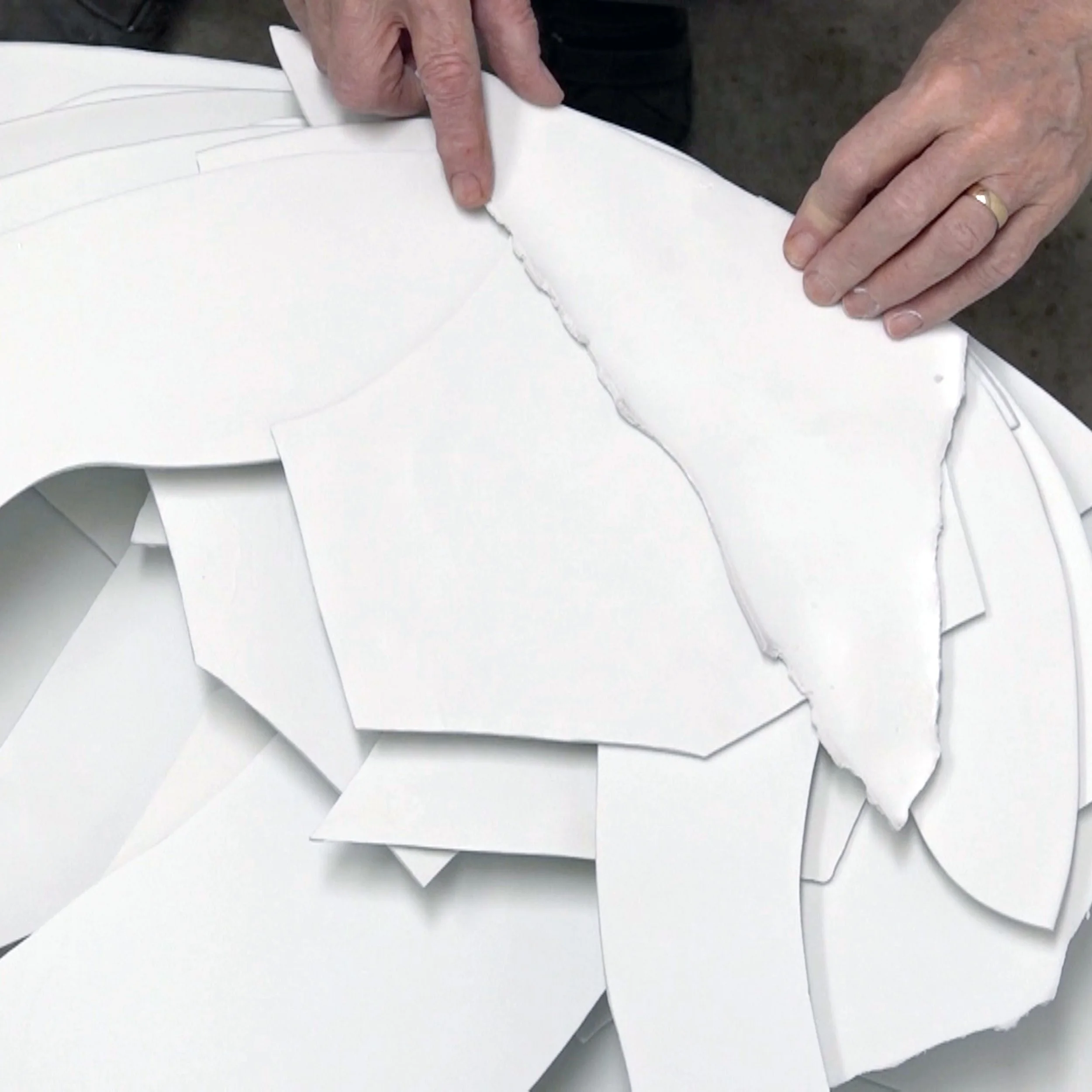 Piet Stockmans P&VM Boom I 2022.jpg