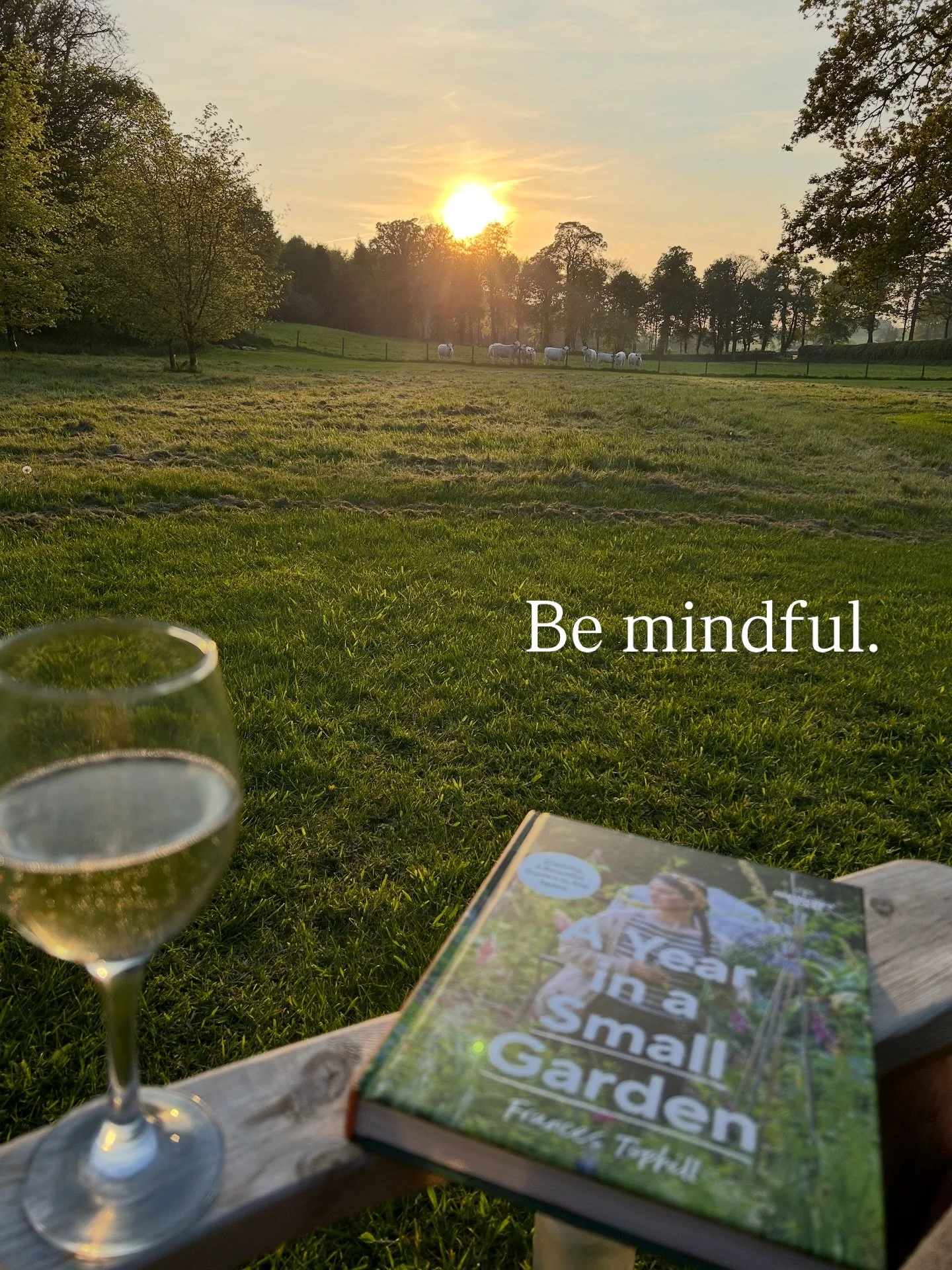 Do I practice yoga everyday? 

I get asked this a lot. The question actually means do I practice physical yoga on my mat everyday. The answer is no. I&rsquo;d love to say yes but around a busy house, two kids, school runs and work, I am yet to find a