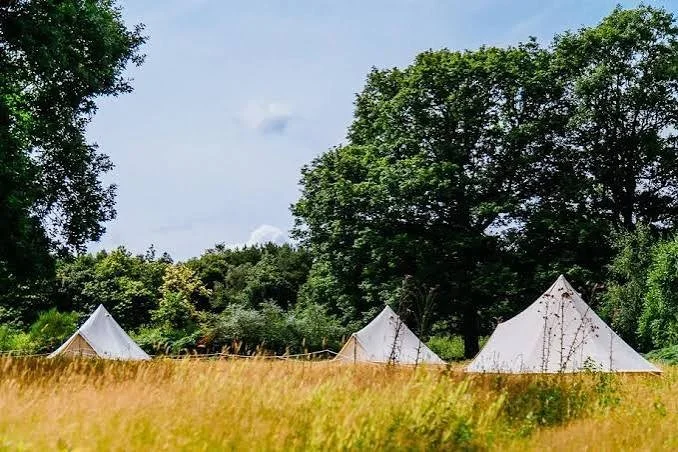 A meadow with bell tents