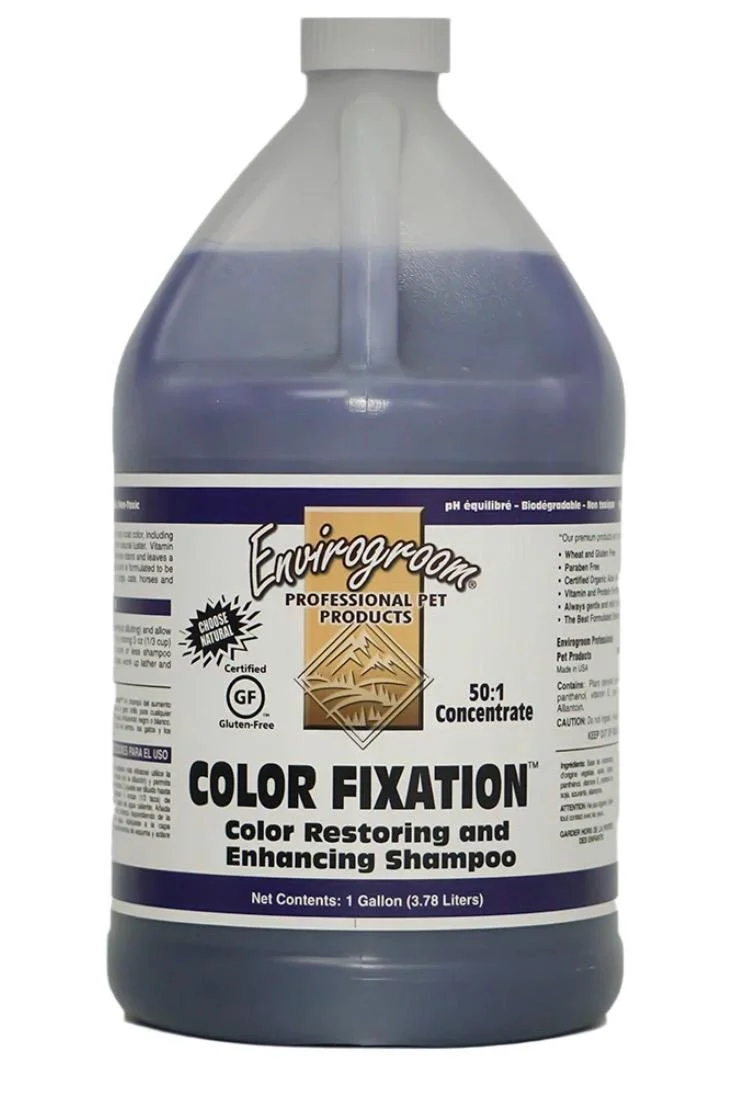 Color Fixation
