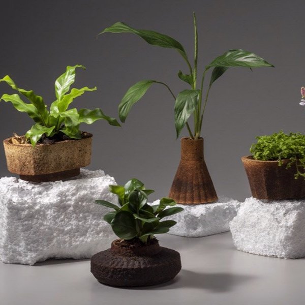 Cresta Coffee grounds planters