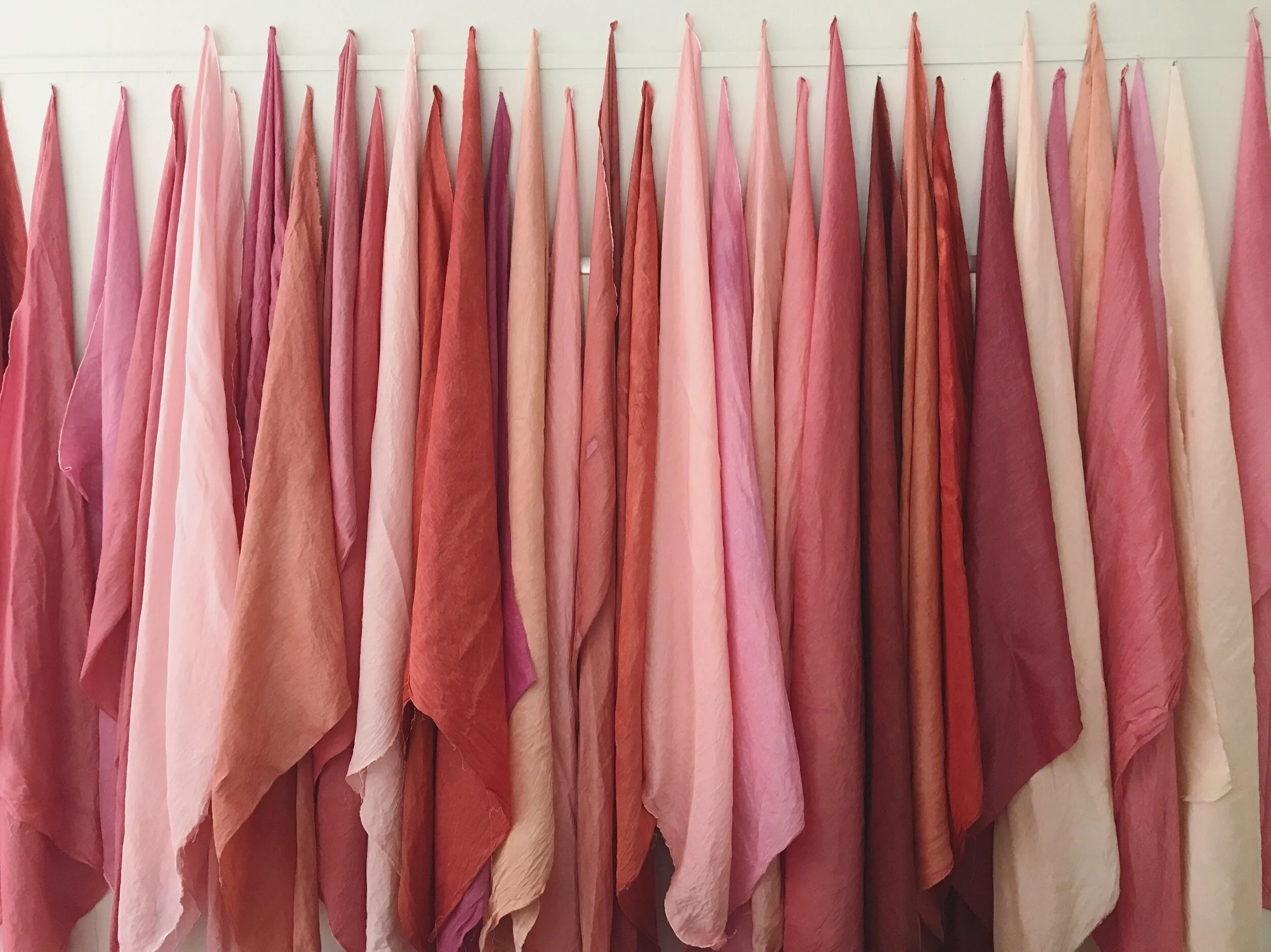 08D25C83-5F6E-4759-B902-BD6284E77933 3.JPG