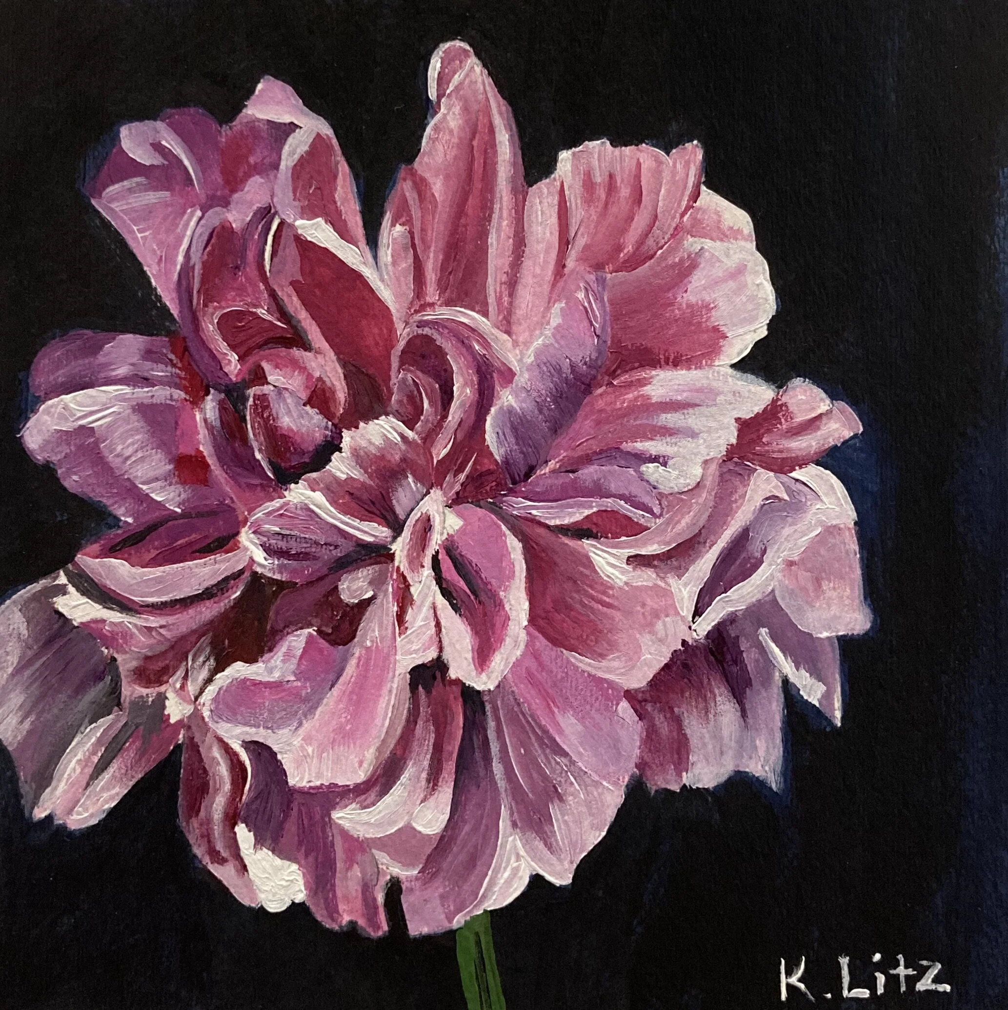 2C47C25D-F3D6-48DA-B19C-6FDCBCC0DB7B