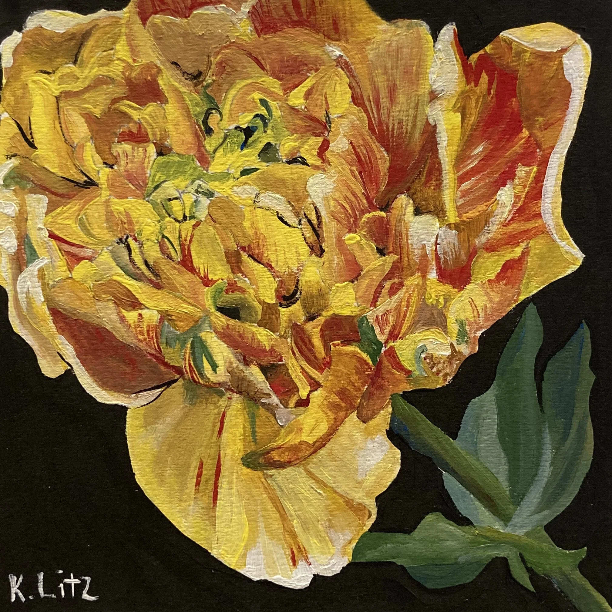 B4105142-B3E9-4446-901B-E25365239F97