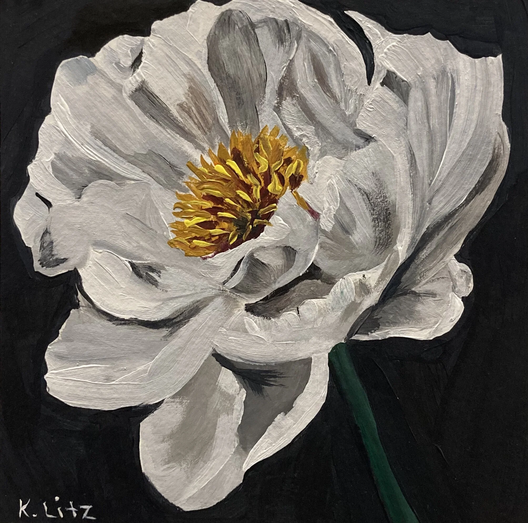 5C9ED1F2-F189-41C1-BC79-87A01F3532ED