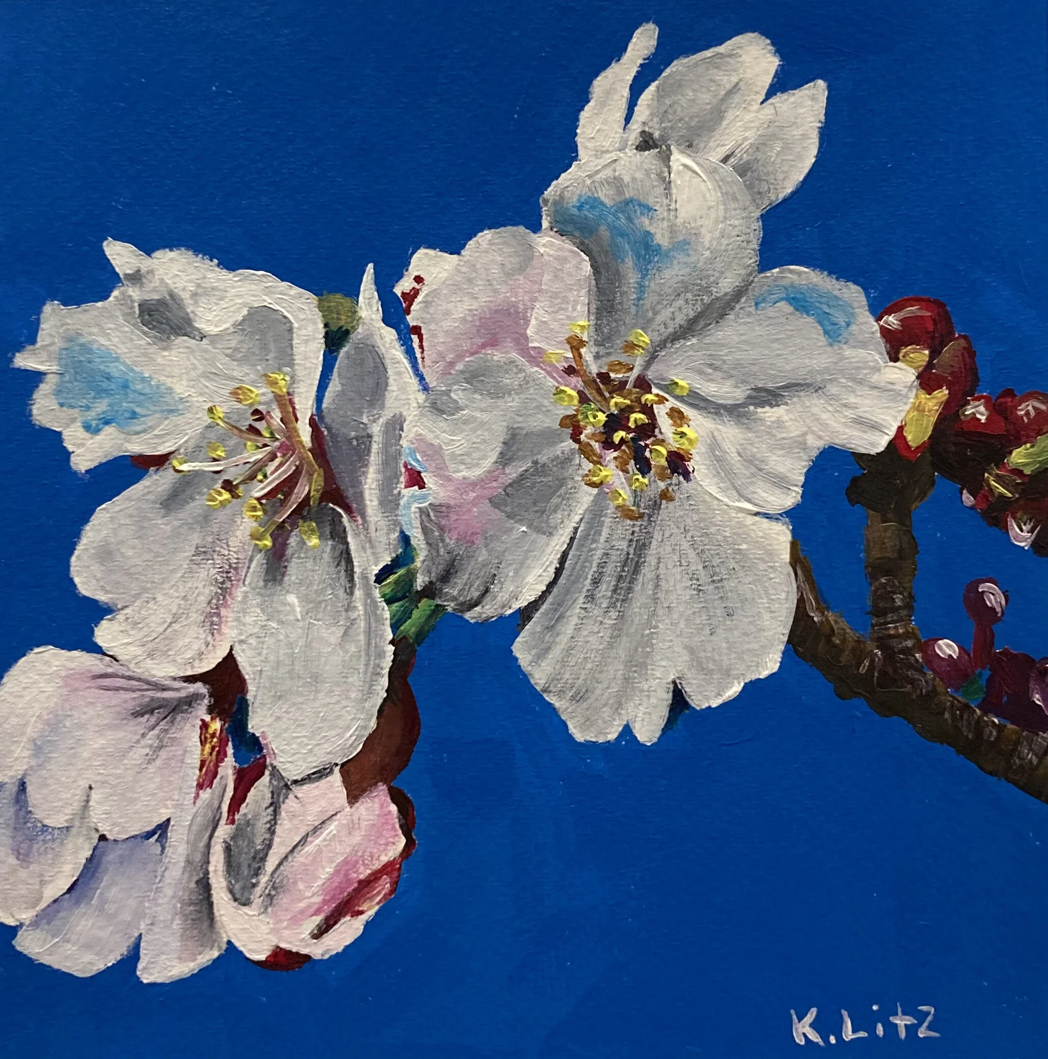 B4C69DF3-E65C-4E8E-89E7-A752A76DC6EF