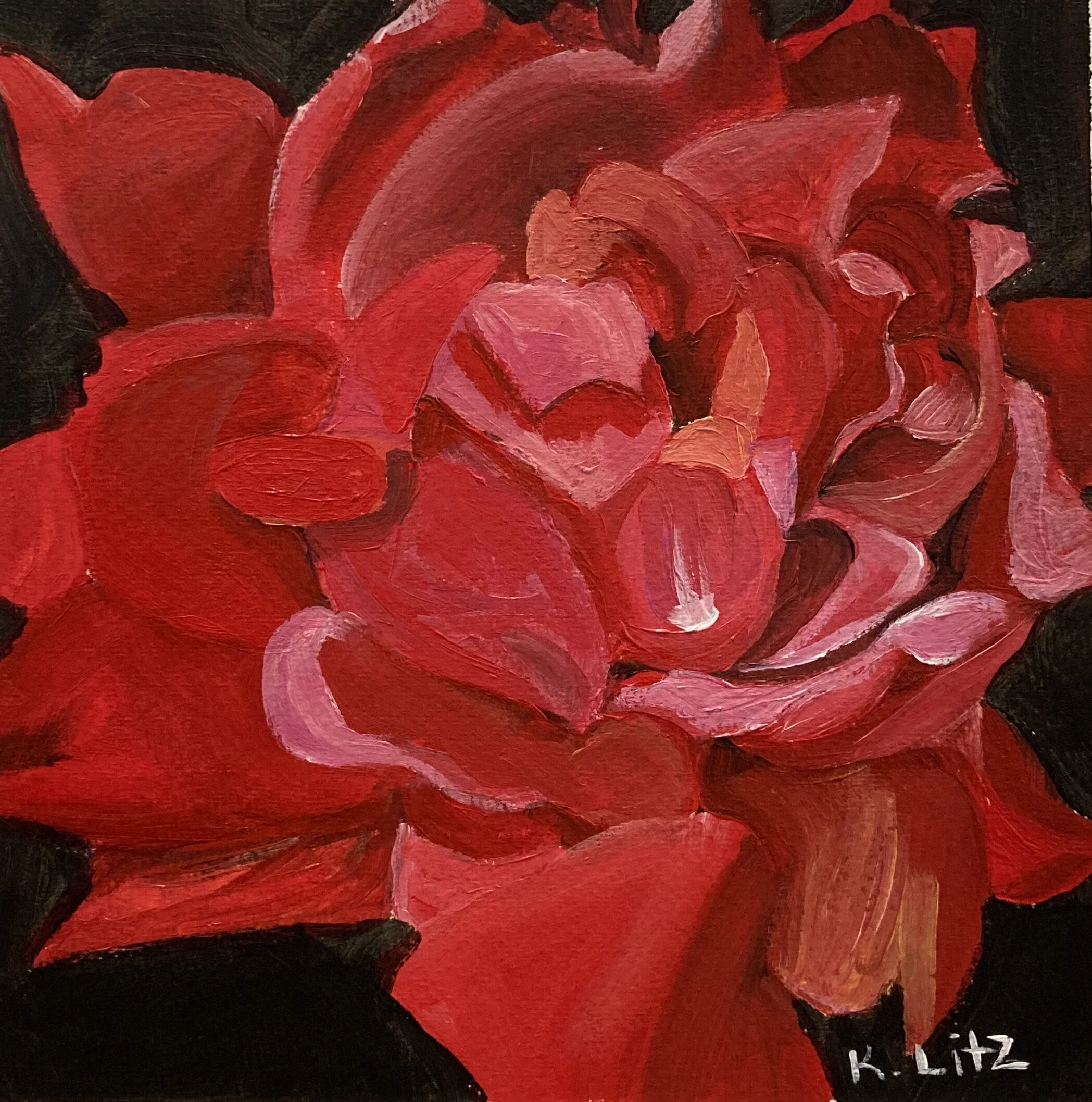 624F5562-9C62-4854-ACA7-3DB38E4201C7