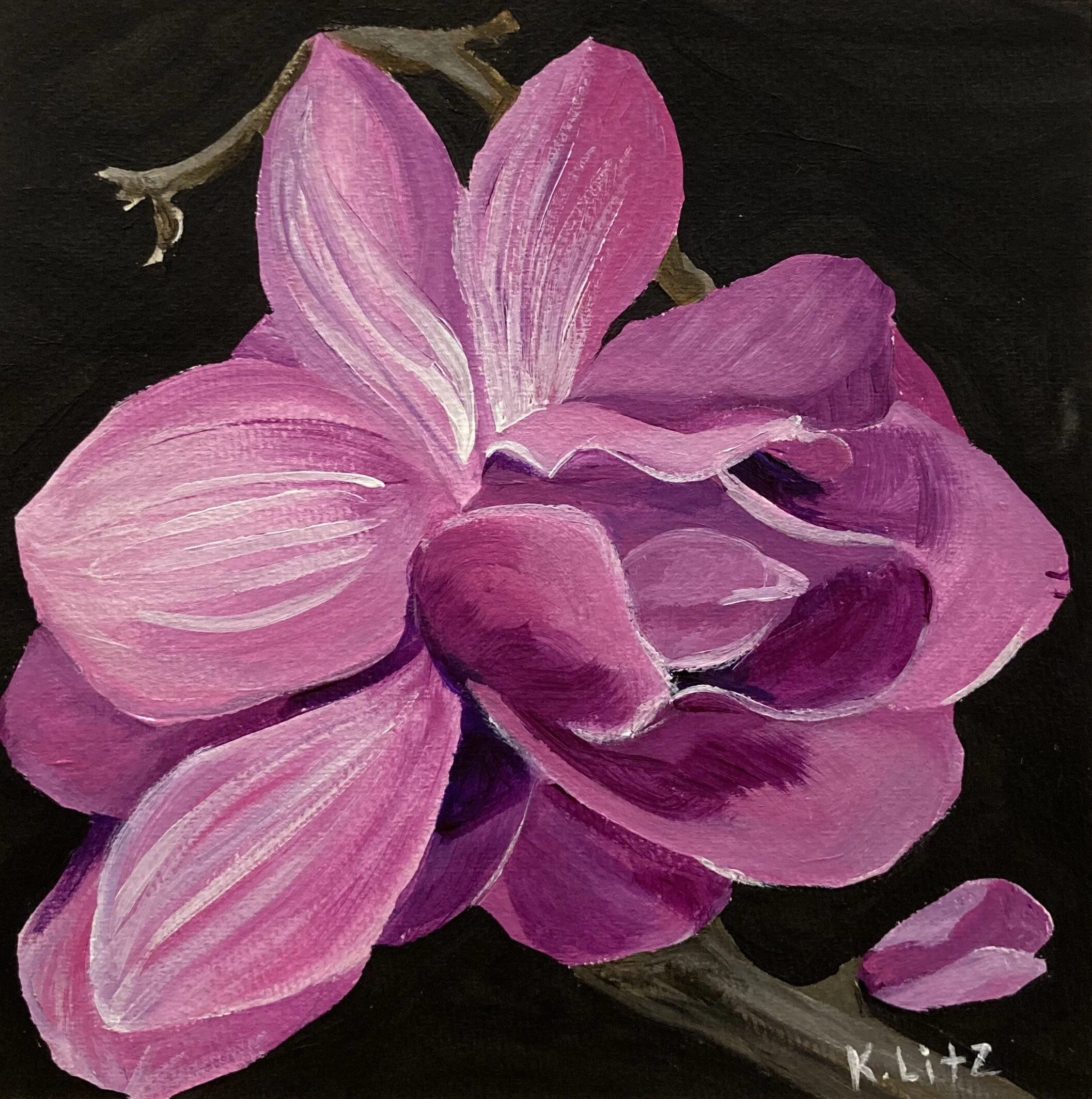 CCD792F0-8942-445D-8E3F-CF3F987774CA