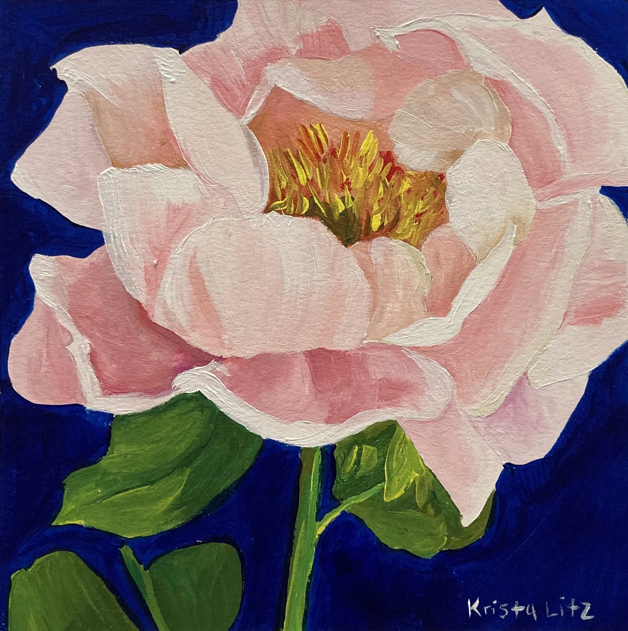 5C038DE6-9B77-4801-BC6F-5BC2A5C53B7C