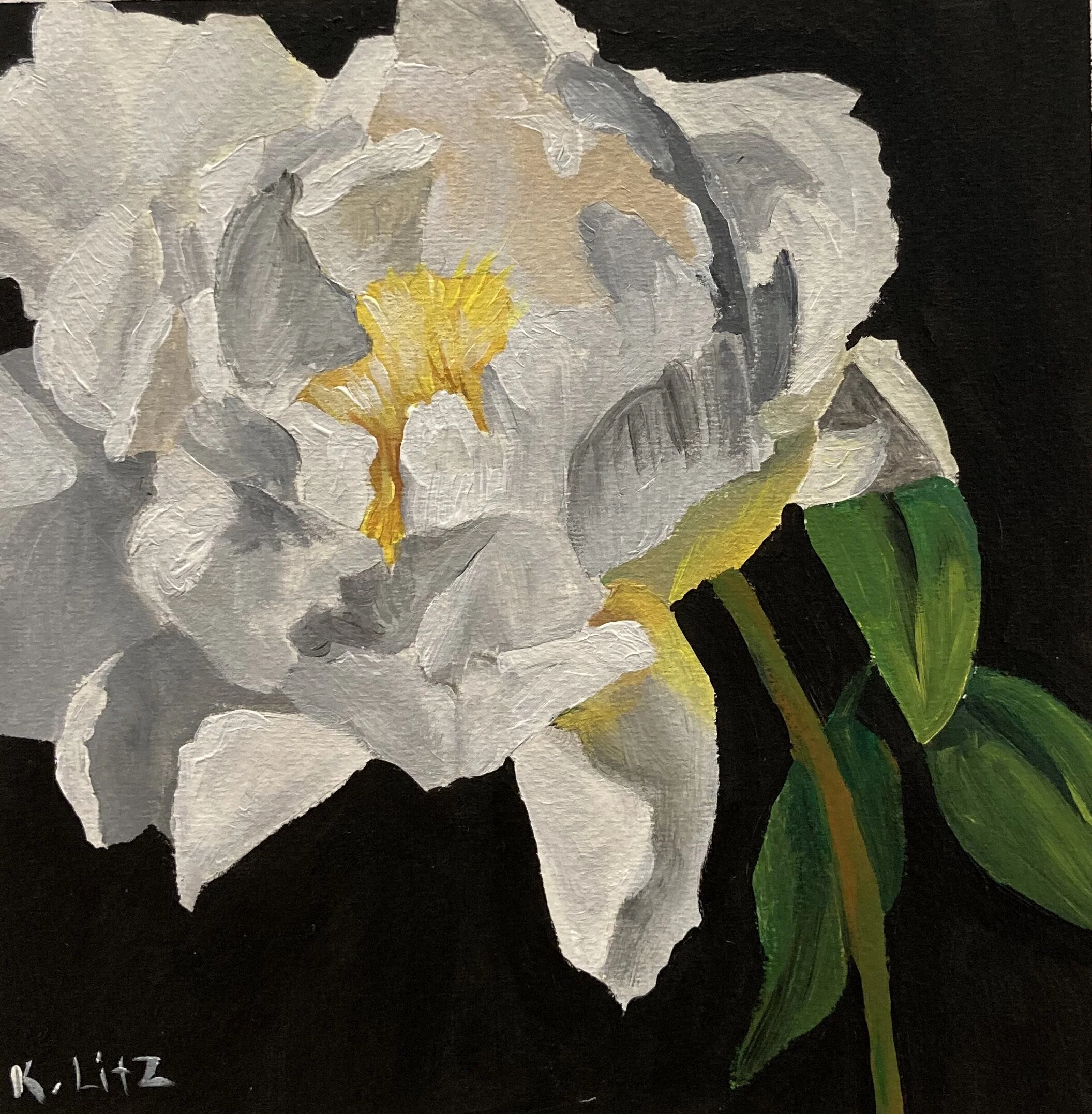 A98E3892-5706-4D5A-8F4E-53C92868AF6C