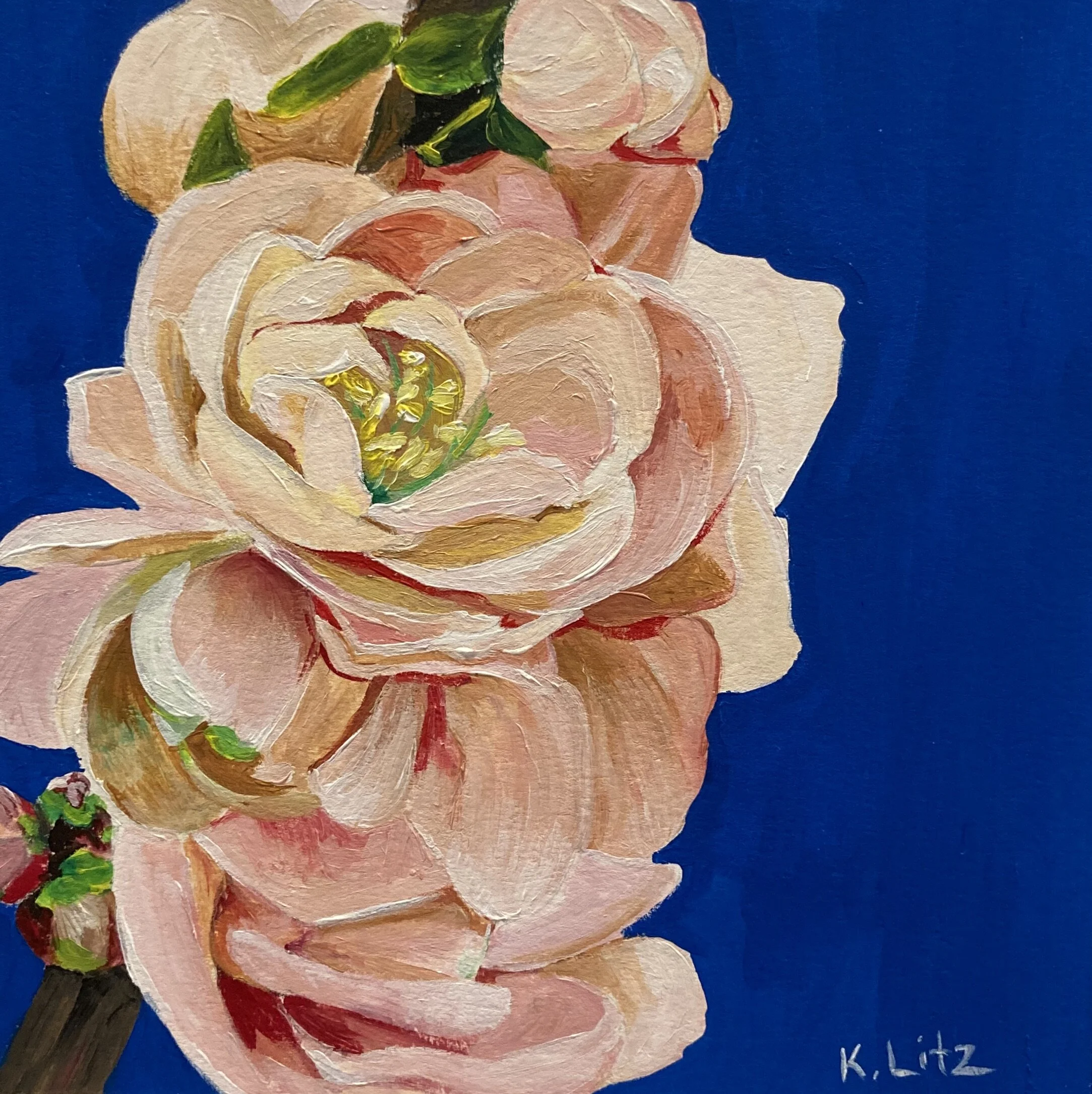 CAE5FEEC-72D6-4783-BE3A-B41724A023FC