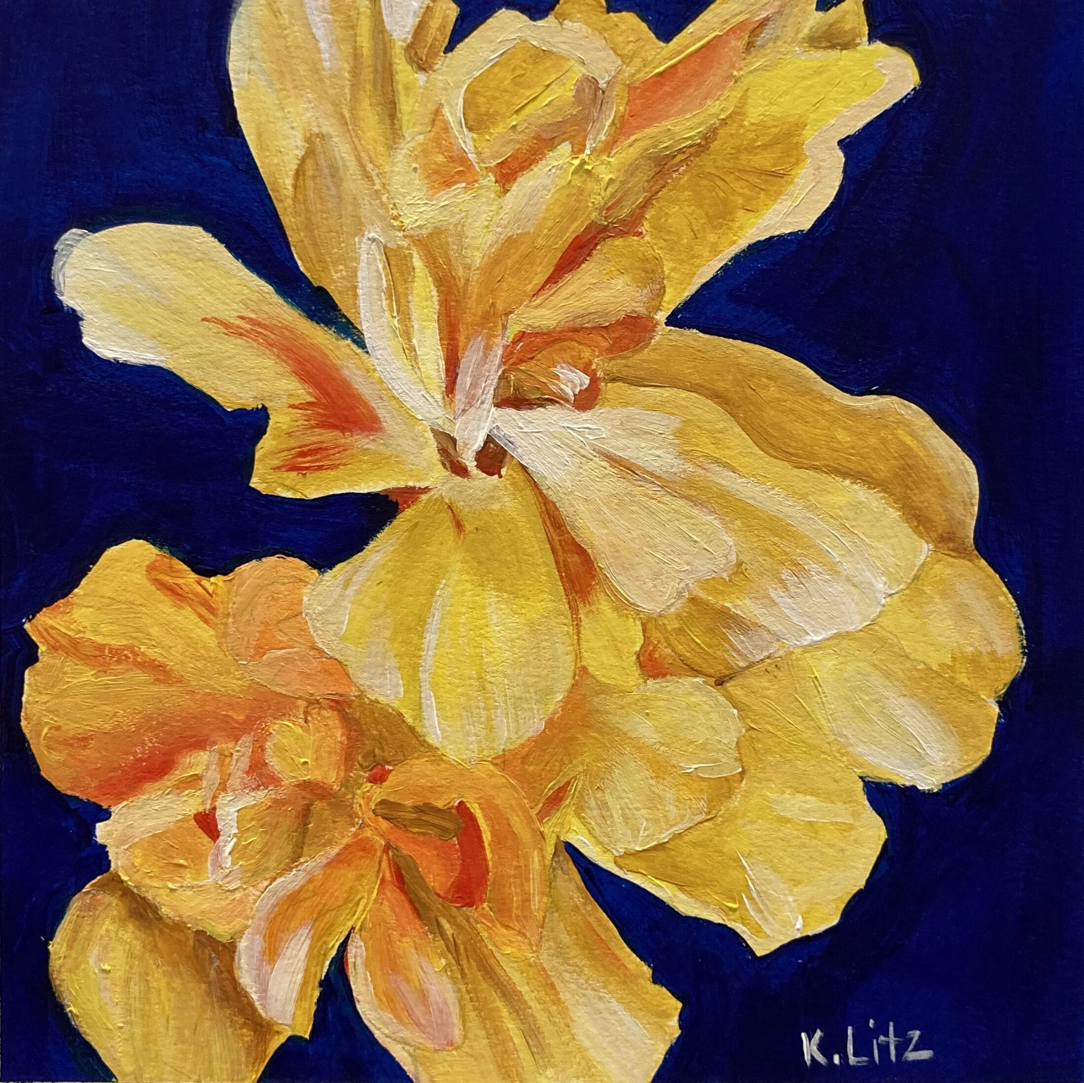 6BC985D7-D195-4BC6-A4D4-6F7228137DD5