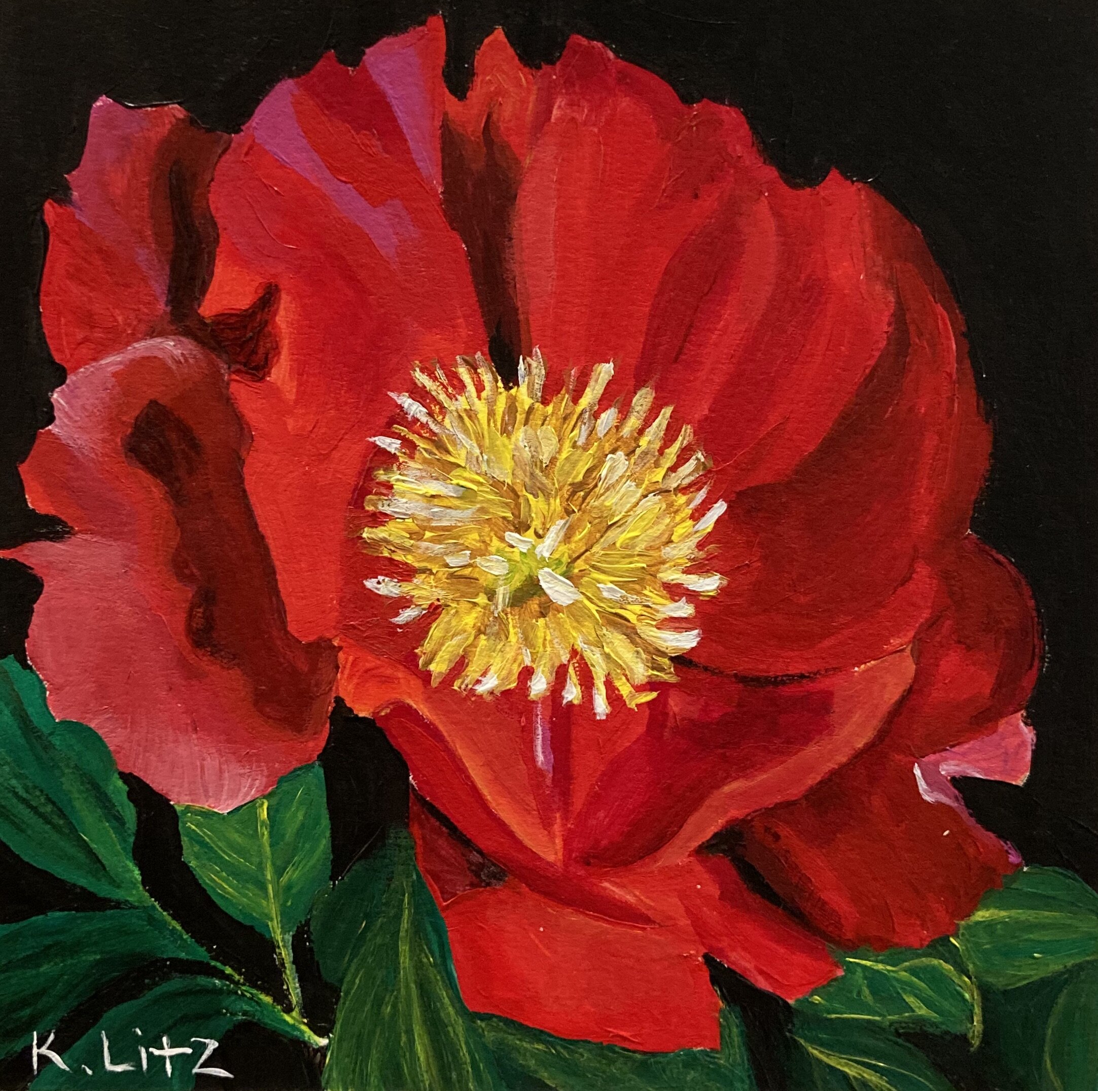 C021F382-F537-4348-BD72-C1F3969245D3