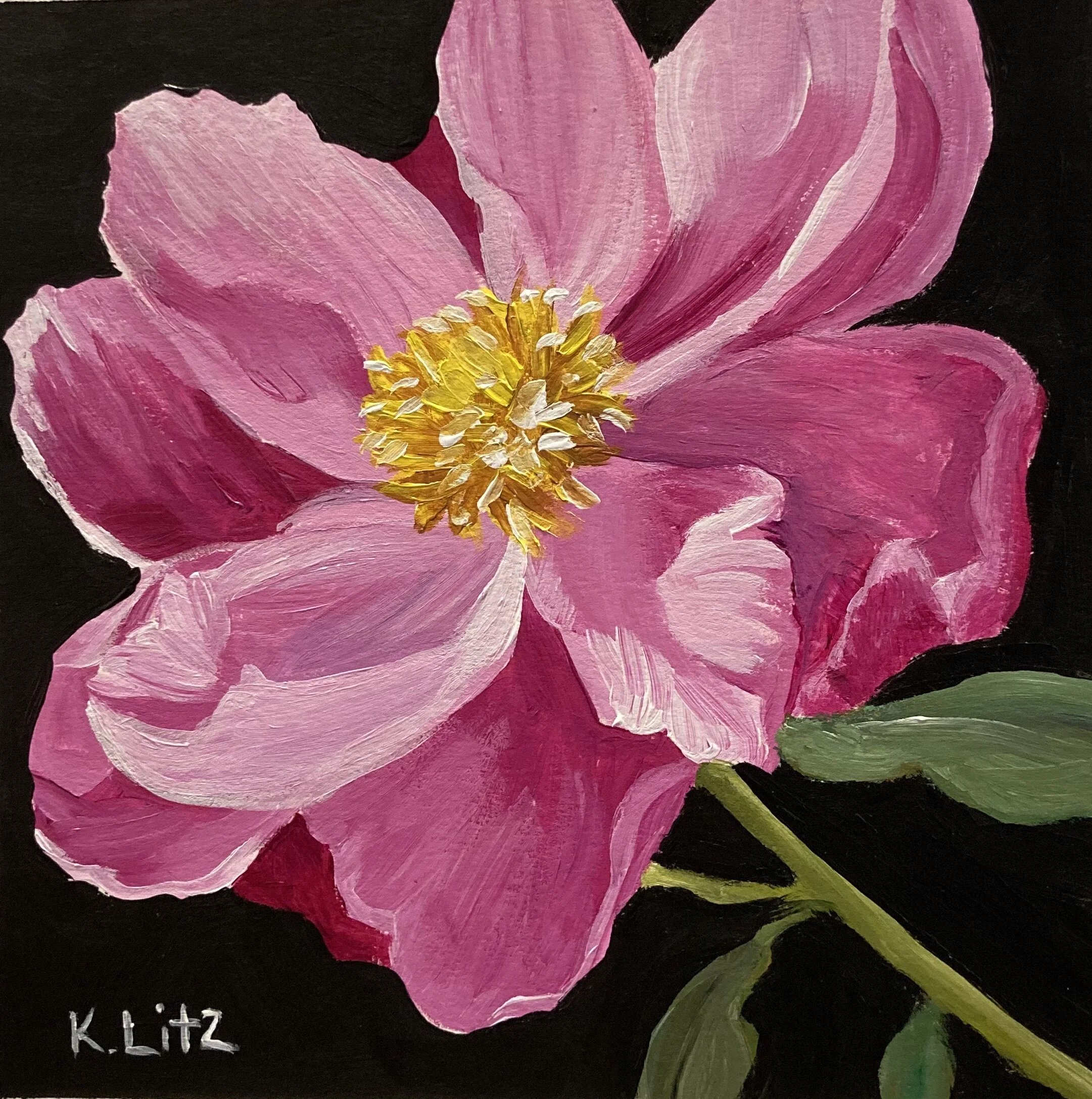 3C3C4D4E-F465-48B1-9B31-2858ADD5595F