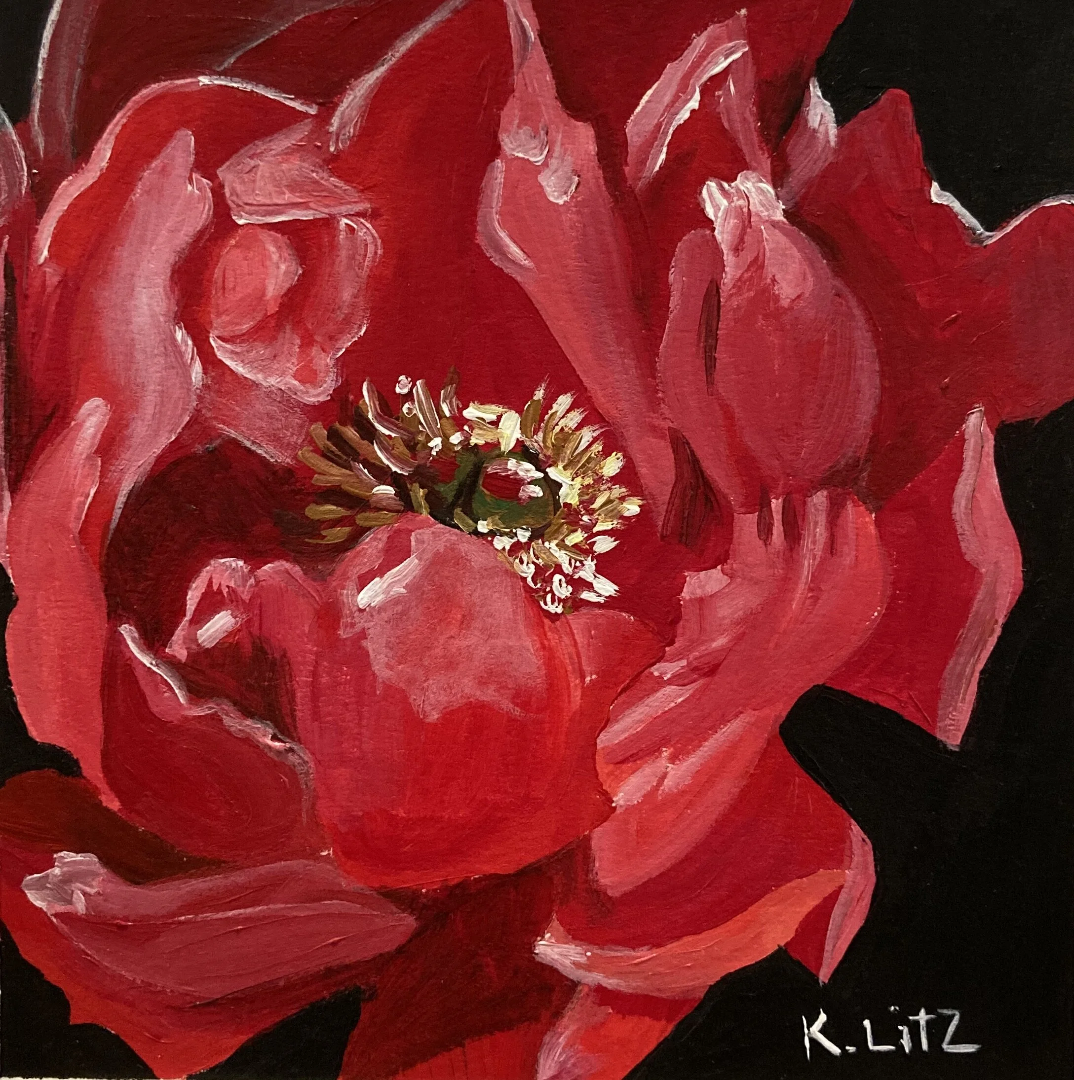 24BA0A4D-103D-49CD-B9BF-1CB1DF62189E