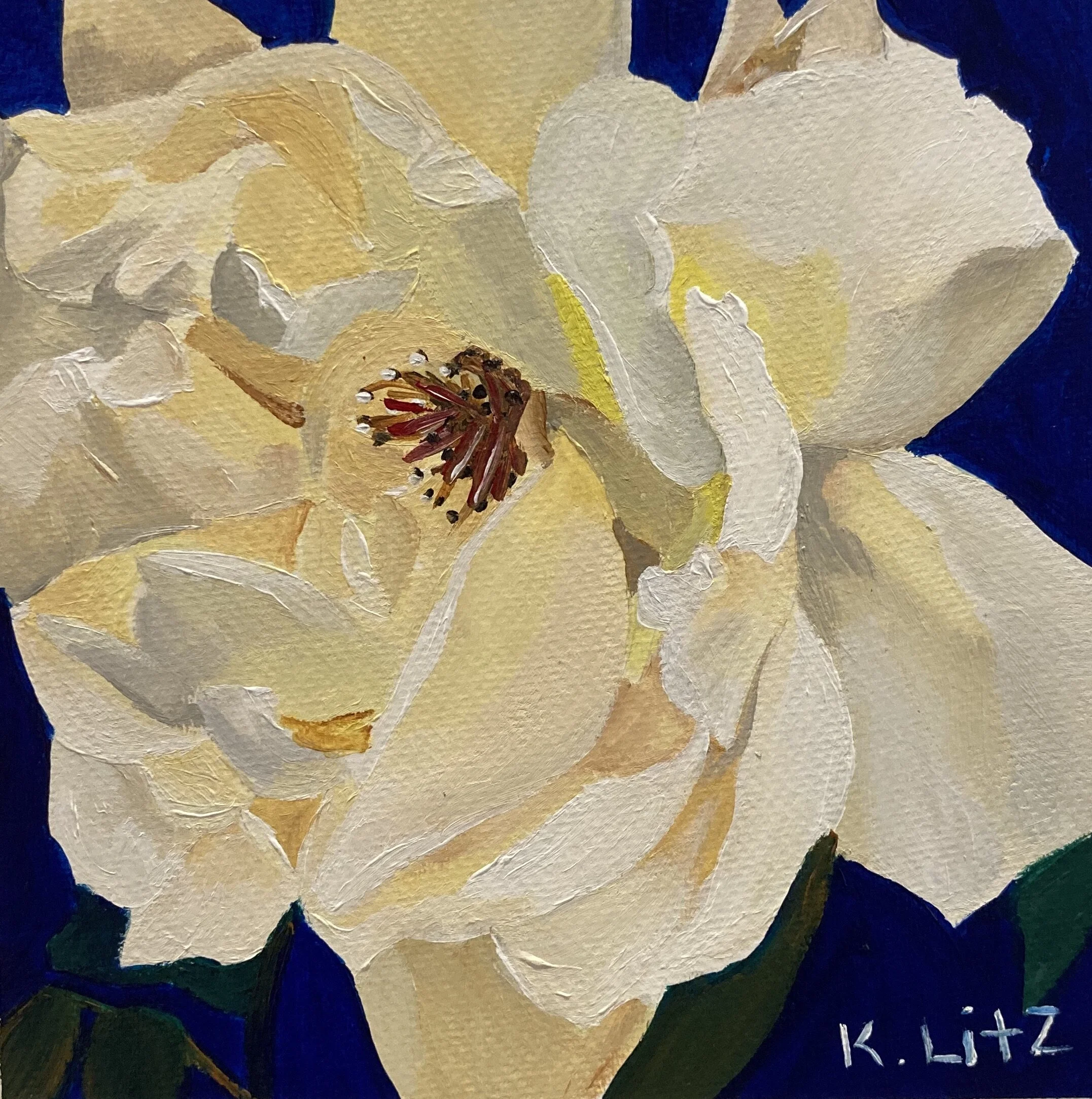 689C8EFA-D8B6-4261-BE90-9336687BABB7