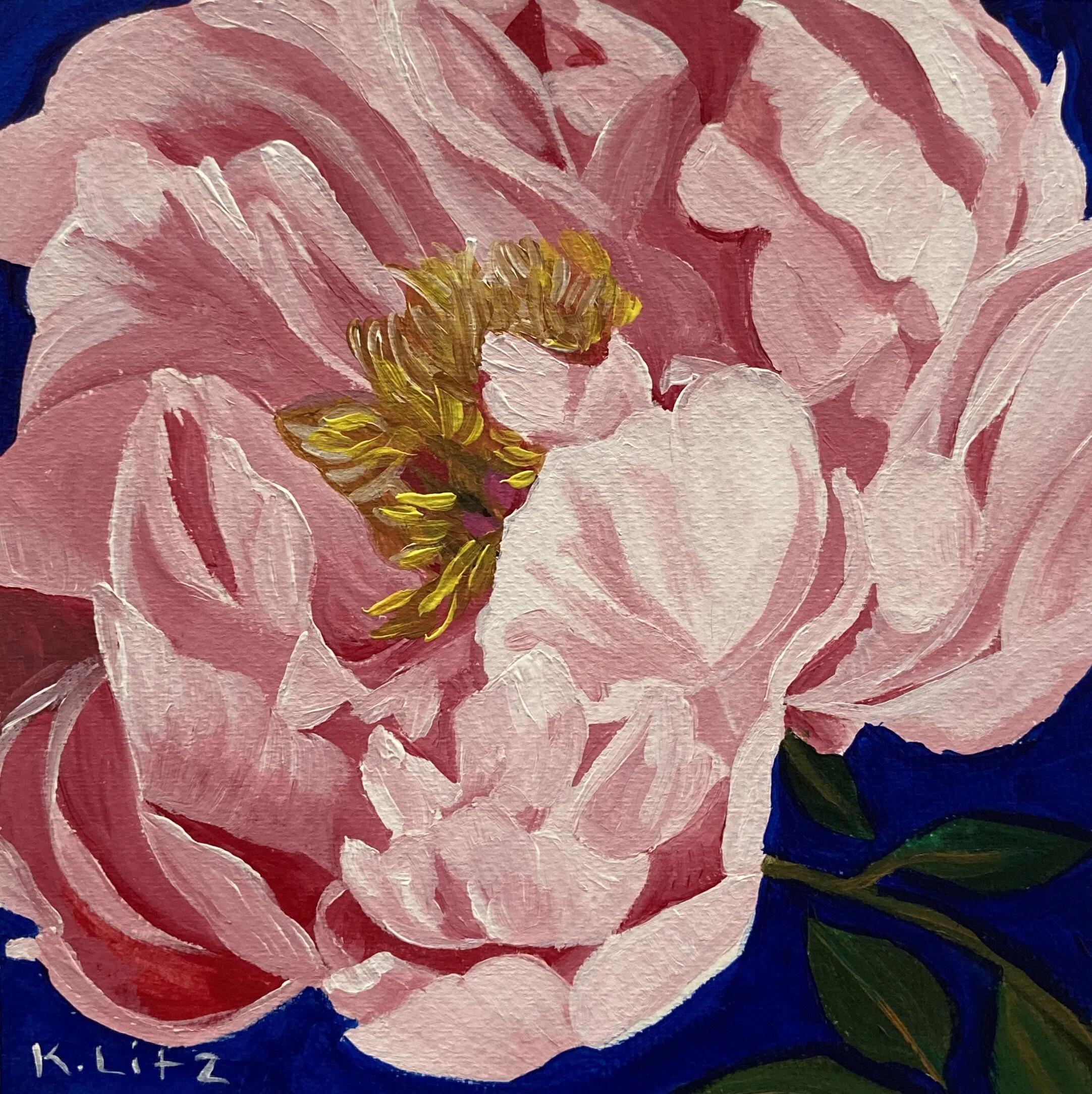 66156D23-BA6F-4719-974E-A1D0C7BF9FD6