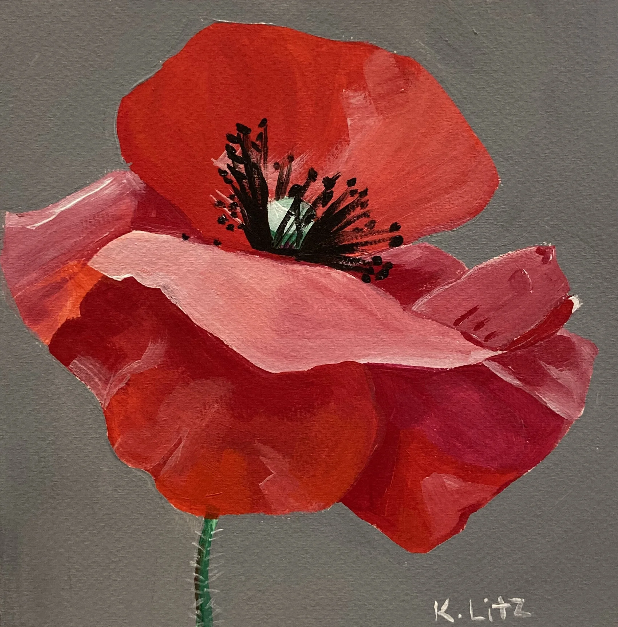 5F492449-E115-4662-895C-CE9B3B8D748A