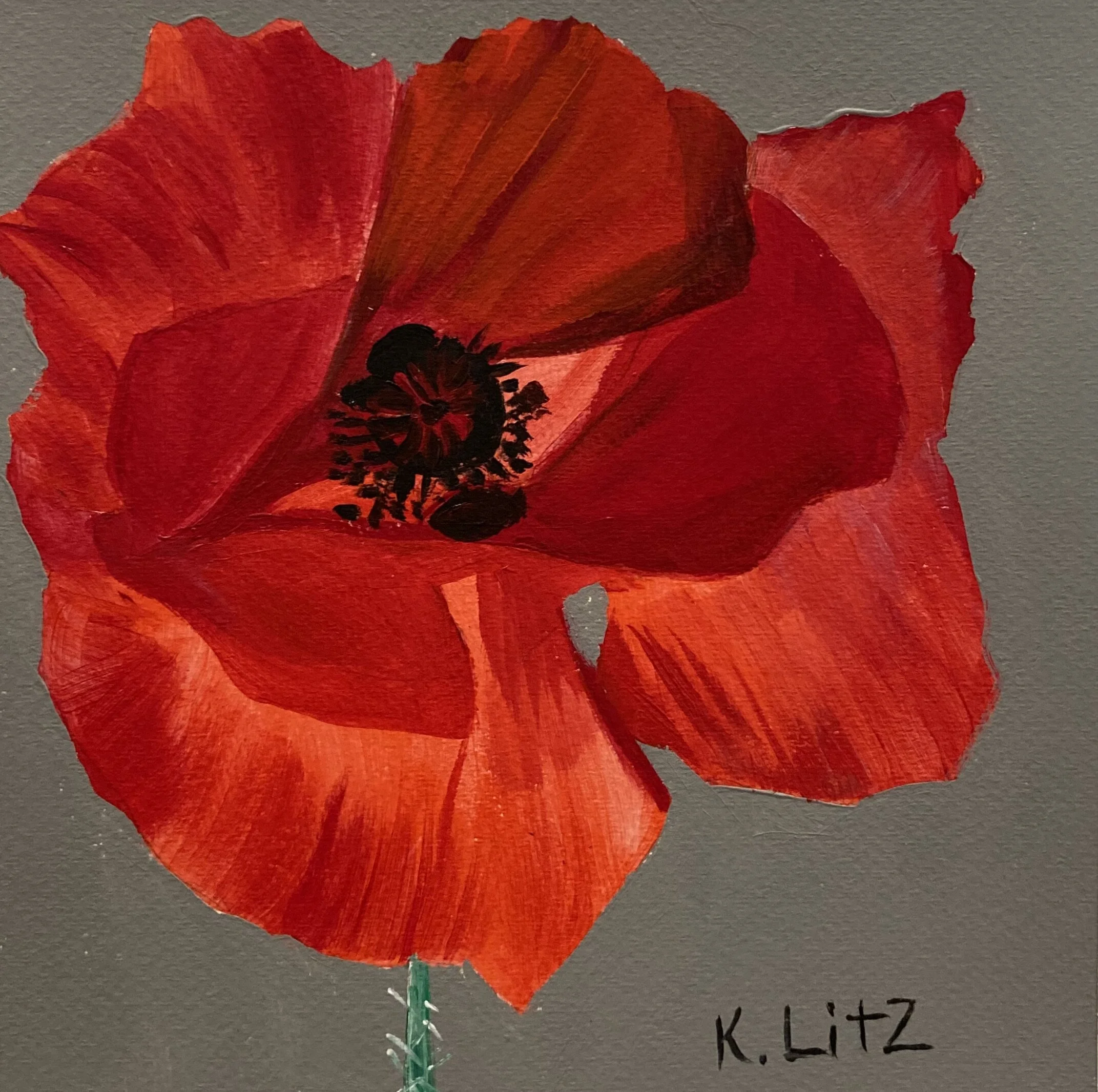 1675DEE3-0E30-46F3-97BB-D9AF7129A3FF