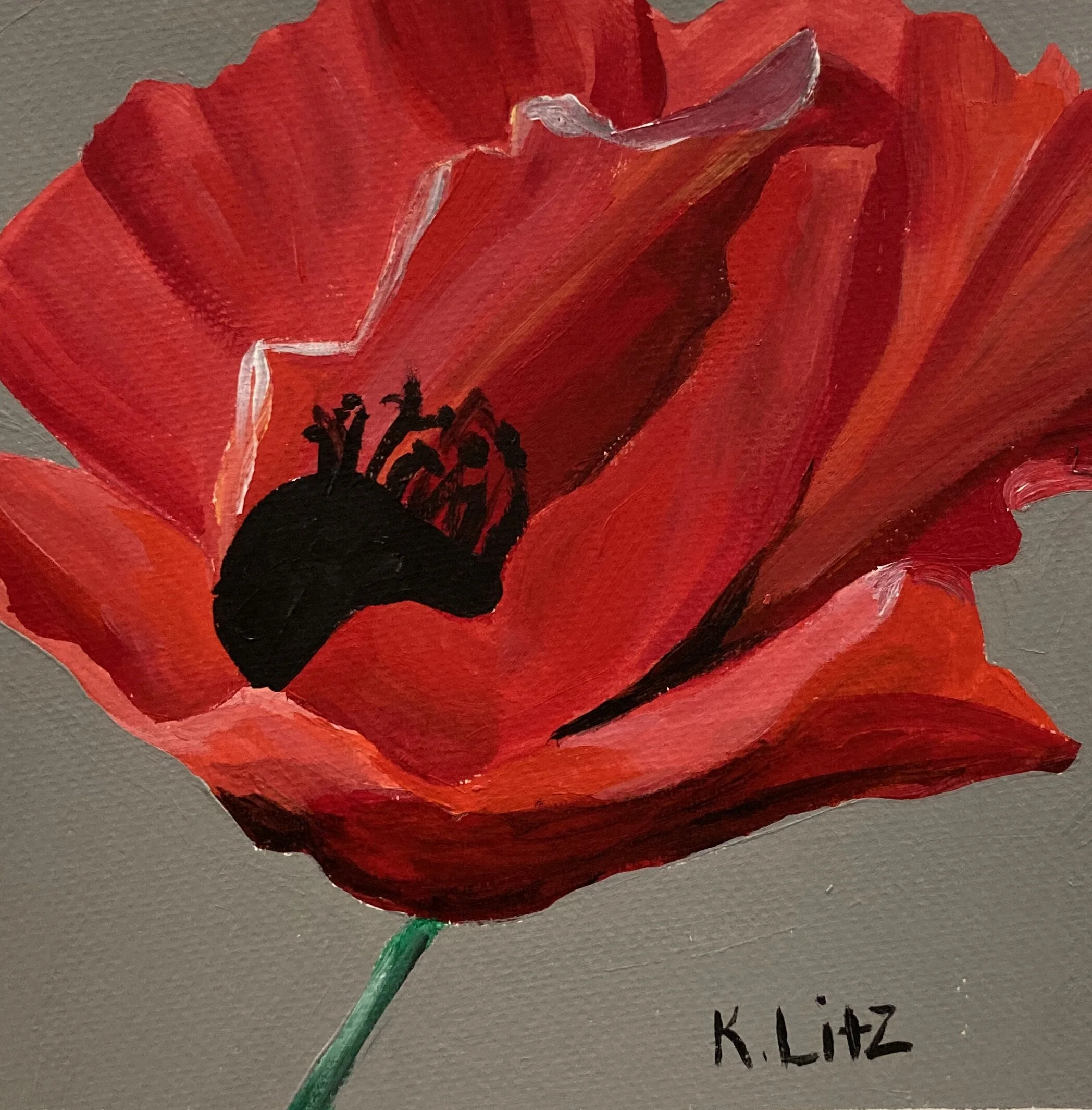 9206A913-0856-4C45-B7EA-129C2B32AD15