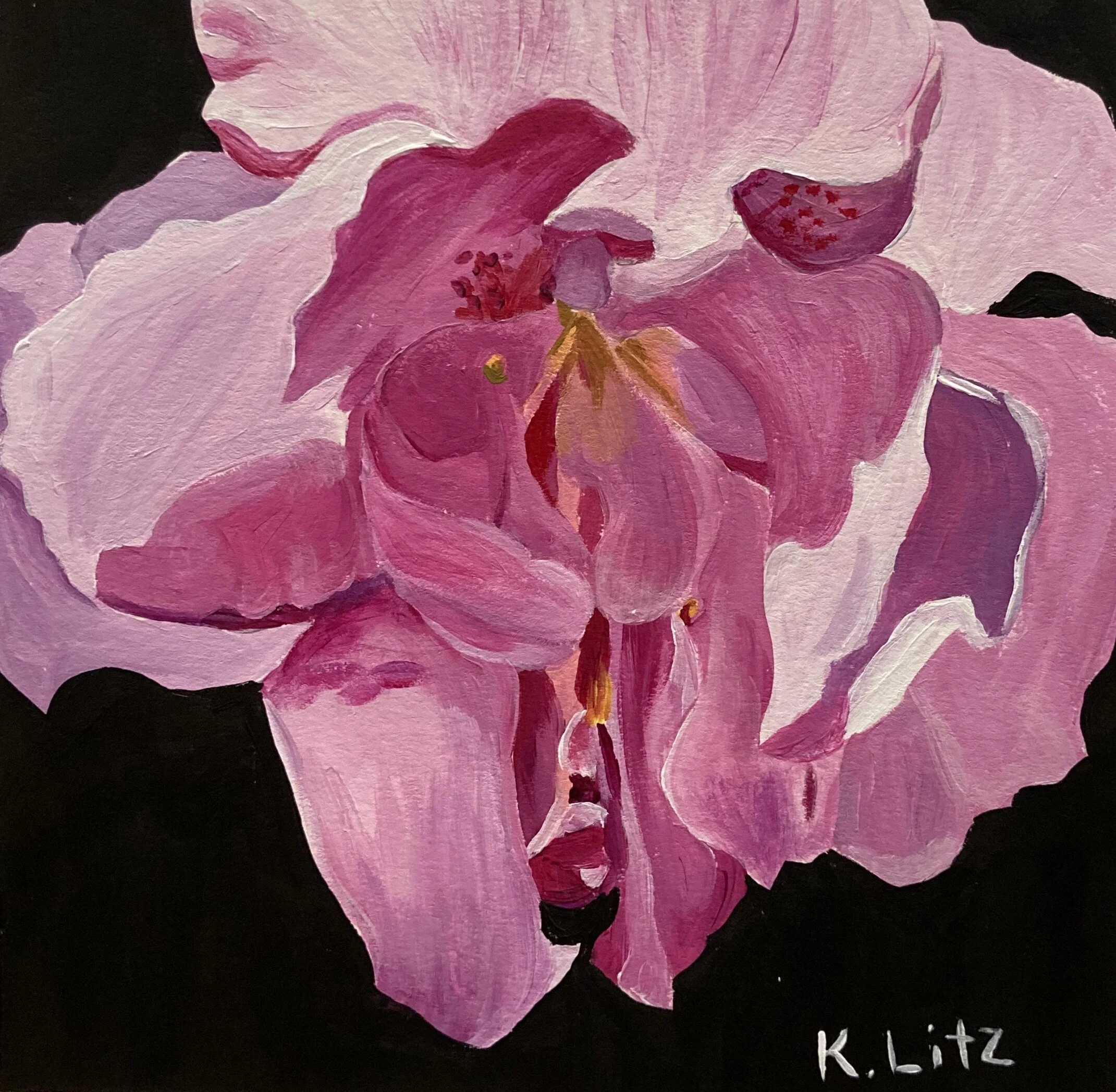 C0F5808F-896F-469E-AFB5-58DCB41D7CC5