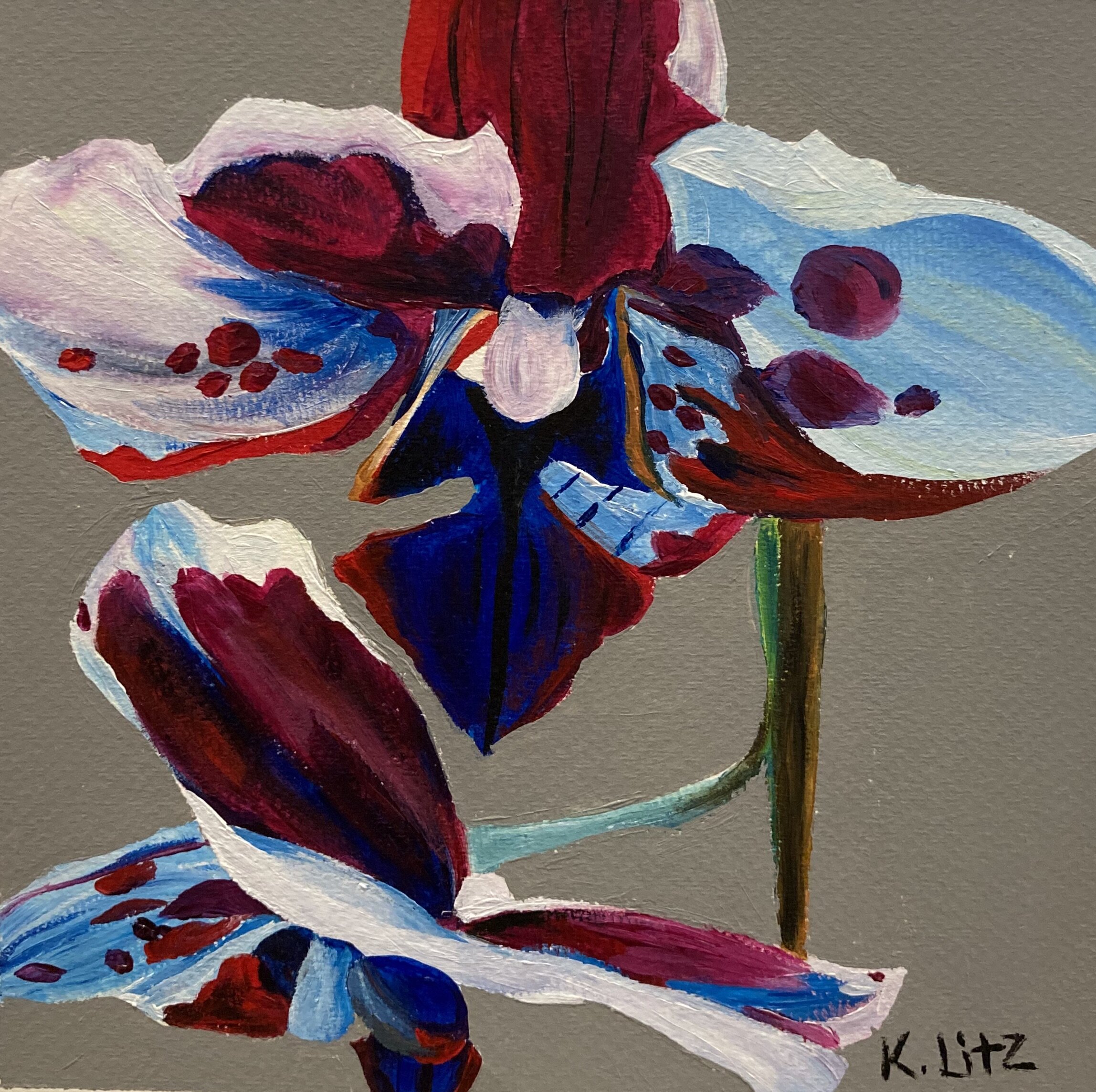 36A73BCE-F4C2-41ED-B897-C8E6363CA5DA