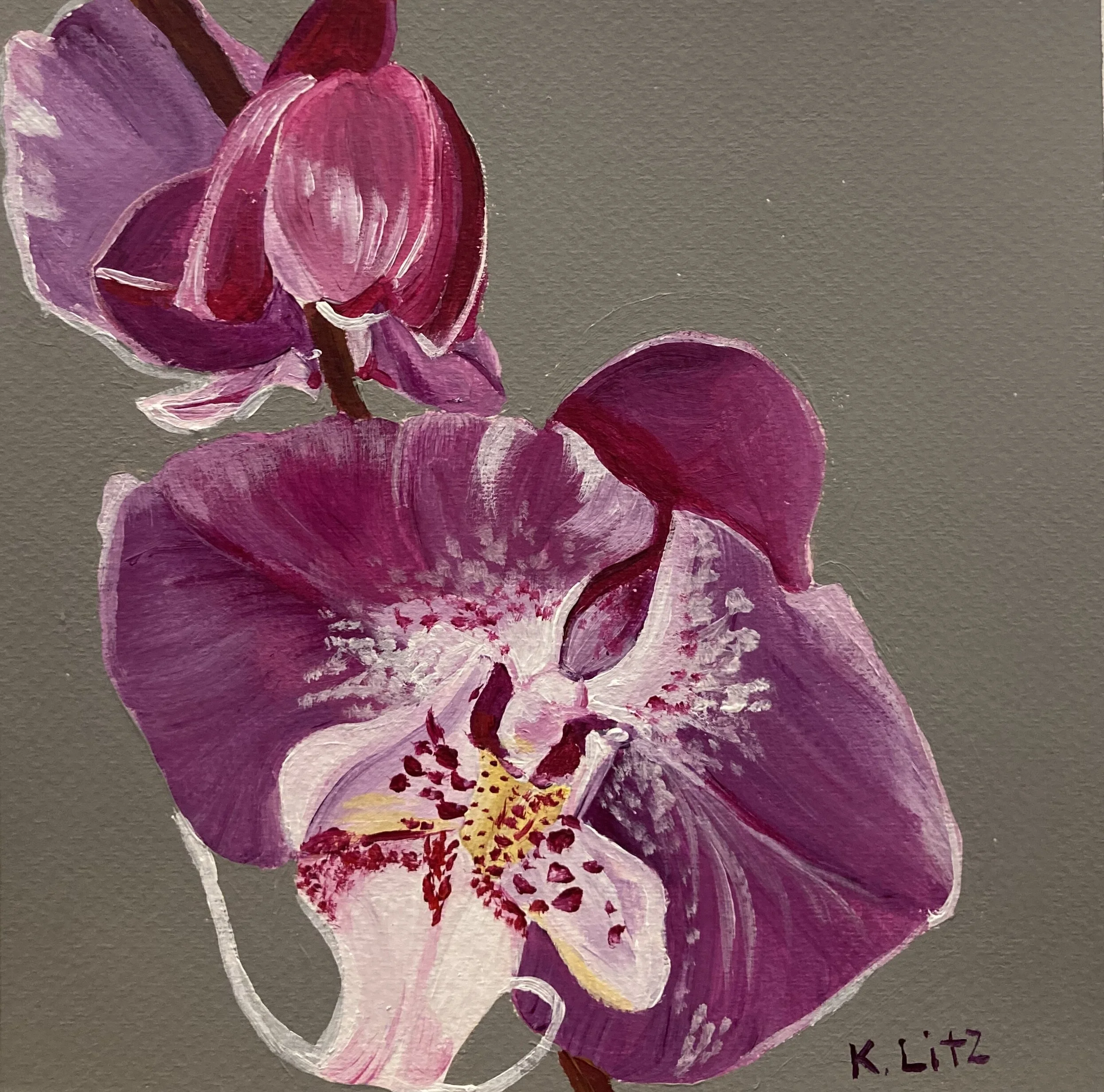 49FBC0A8-5385-4CDD-A4A2-84E1635B3553