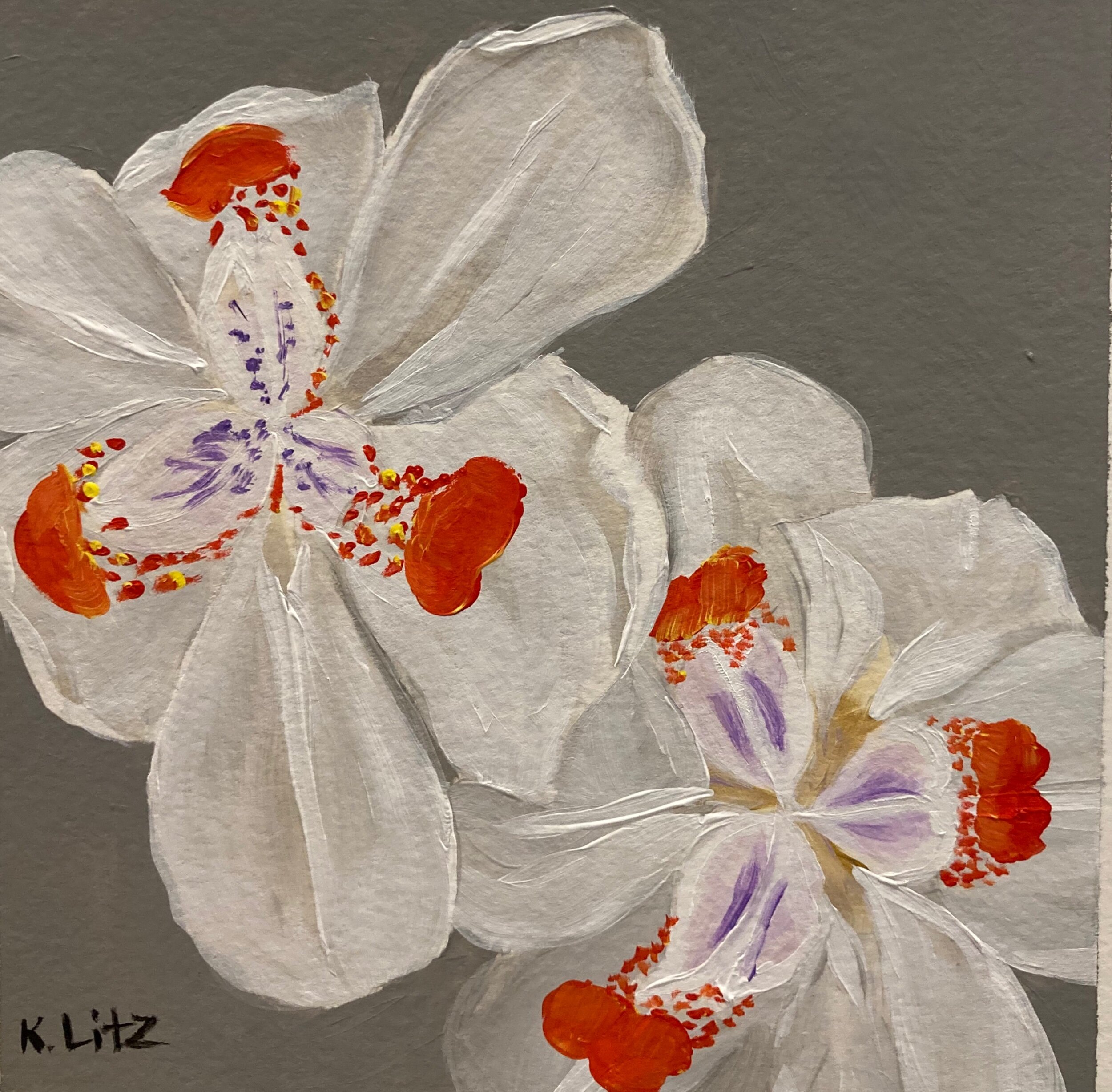 8DC612B3-C308-4BC8-A458-A8FEC05FCFBF