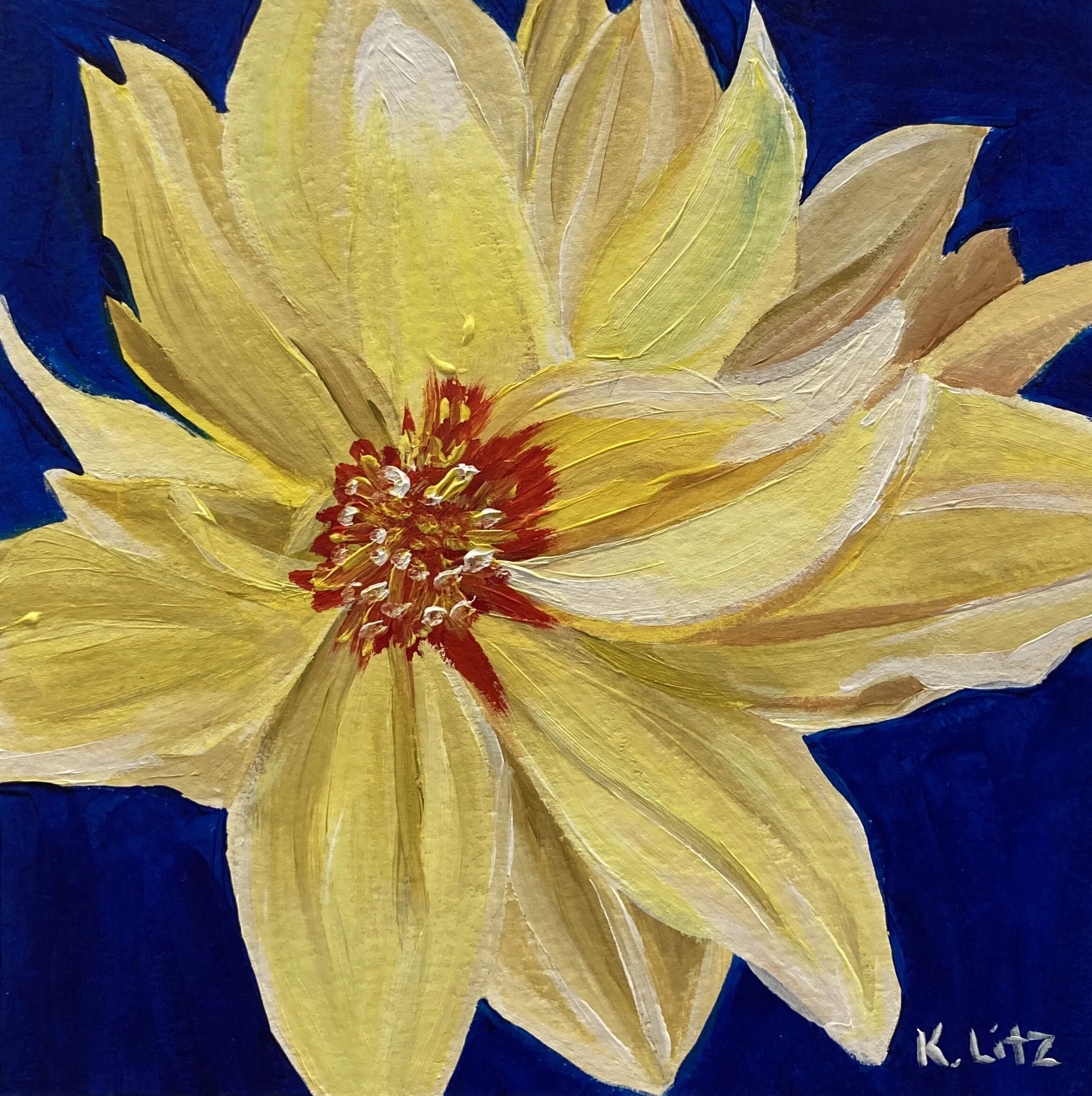 3519E569-3EF7-408F-B354-6328A48707B2