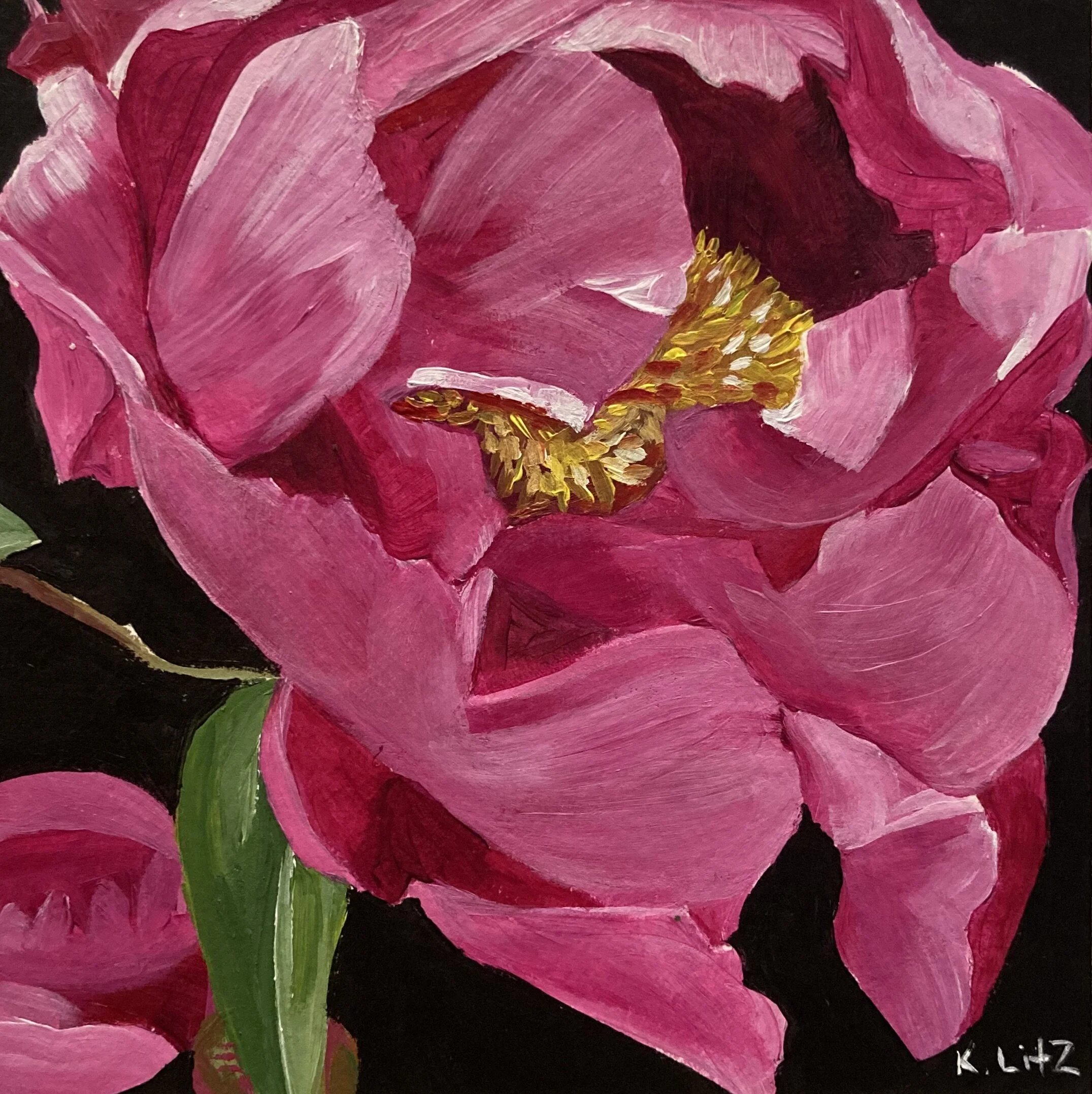 6D1AACF5-0738-4638-9EF7-B9A1C0A14E05