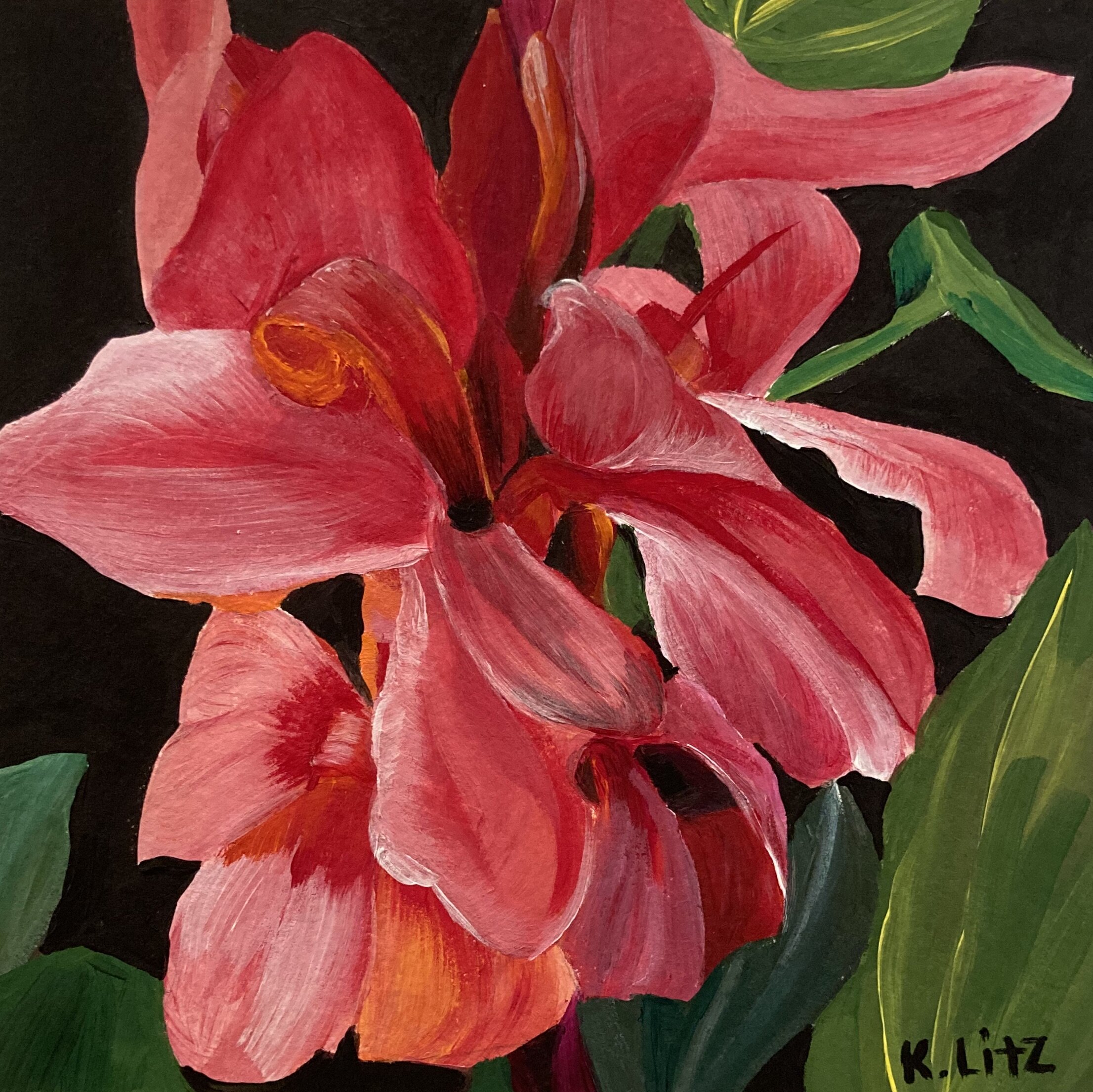 C8B54E29-1BE0-4562-89C5-CF7A07287685