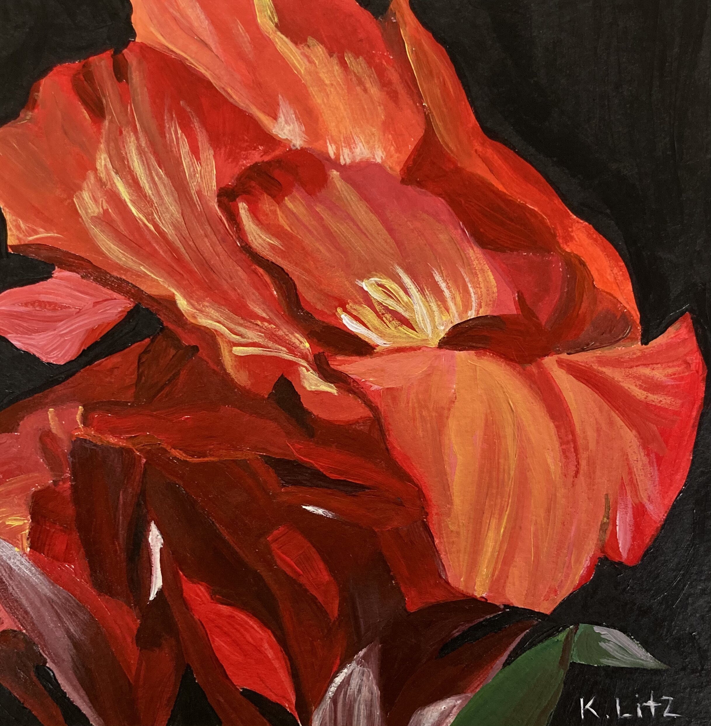 F233347B-3F80-4350-85B1-C7A0EA3A15C8